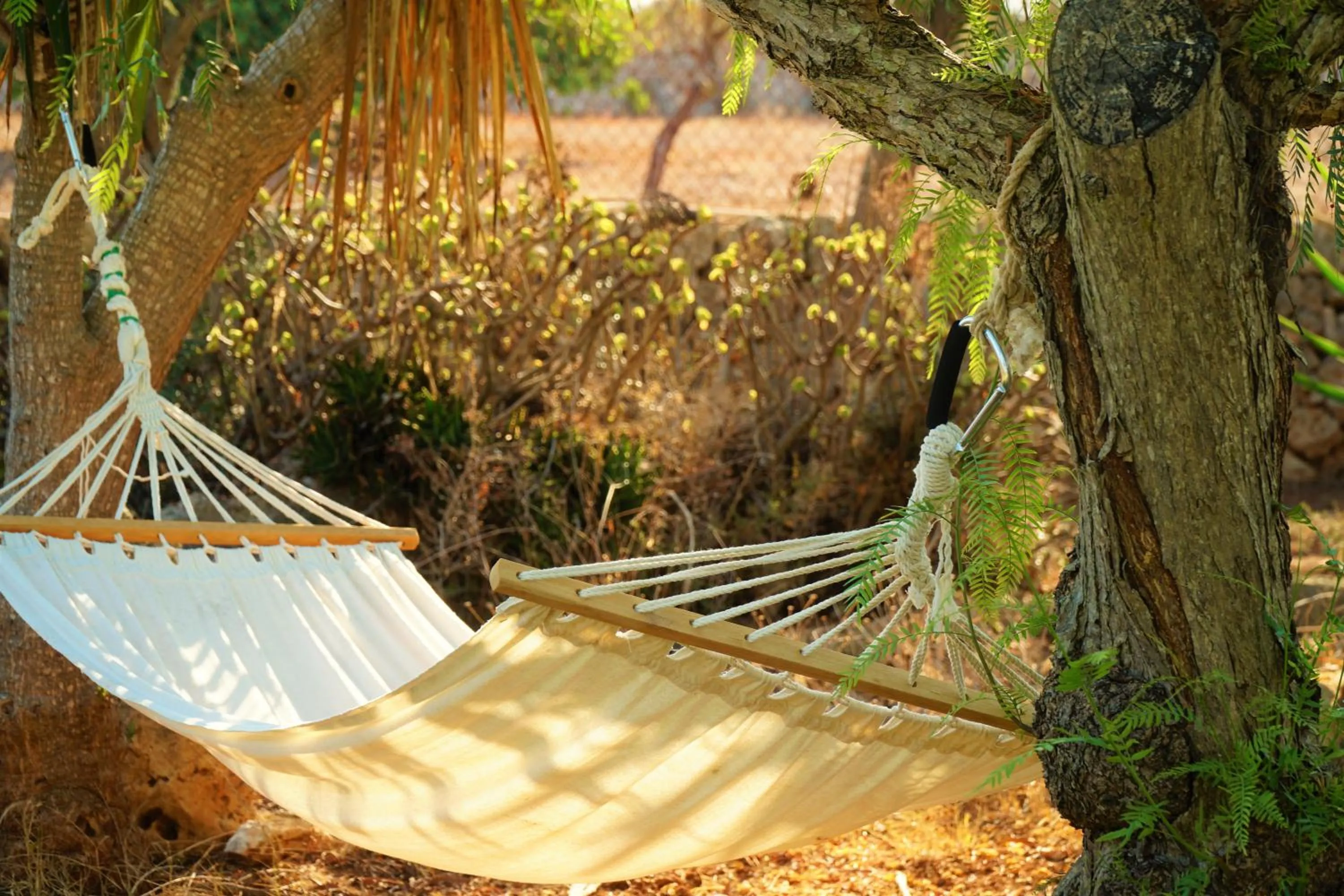 Agroturismo Finca Sa Tanca