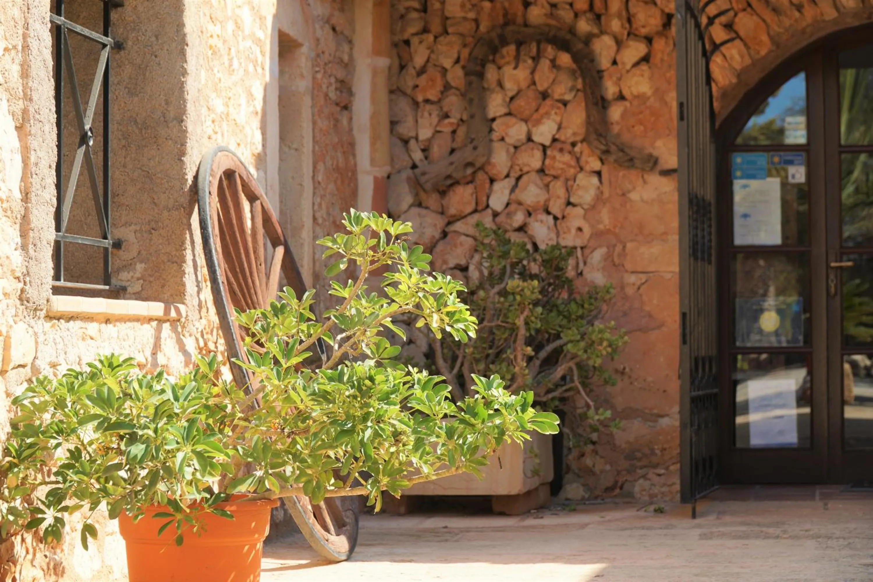 Agroturismo Finca Sa Tanca