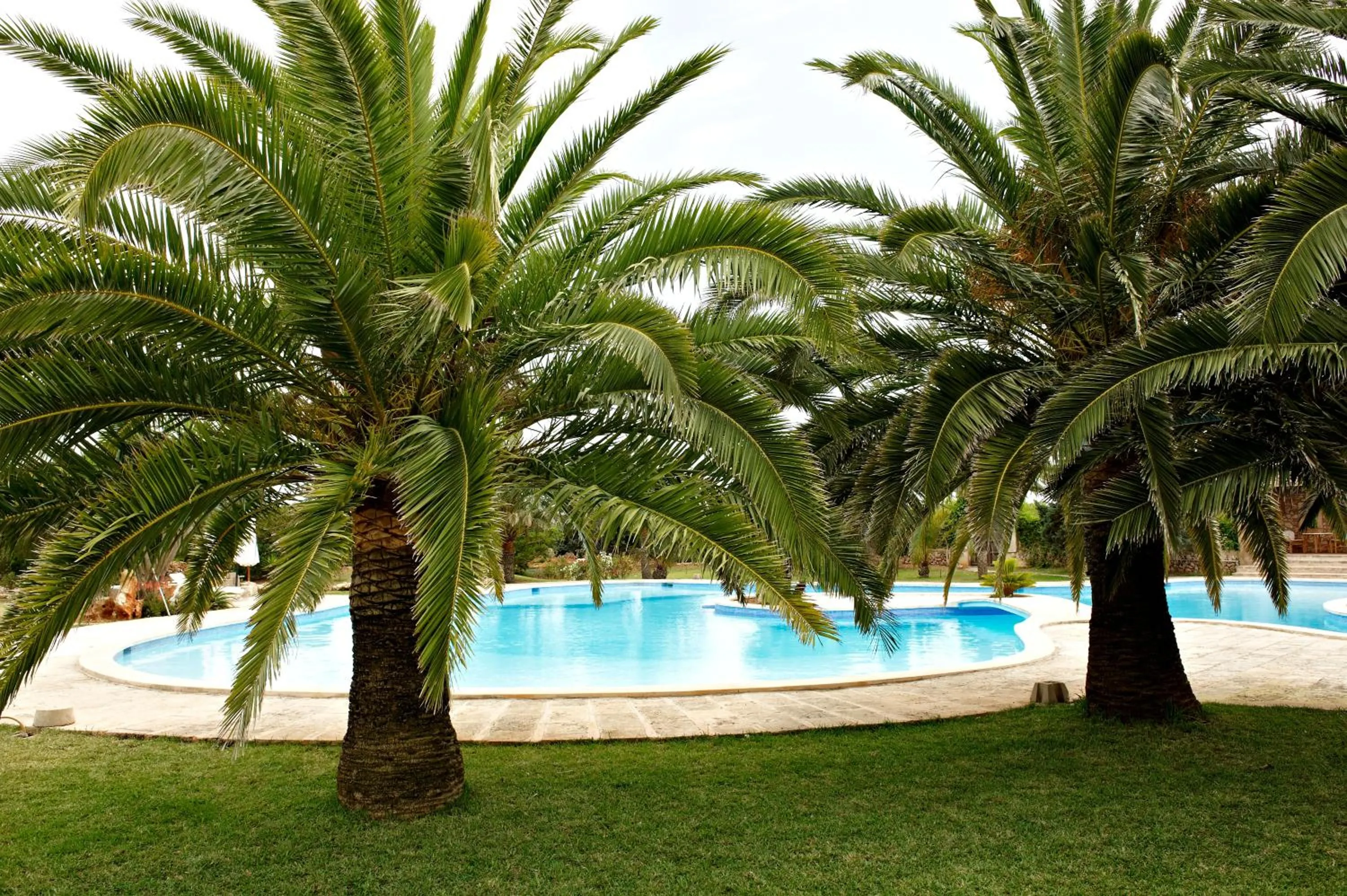 Garden in Agroturismo Finca Sa Tanca