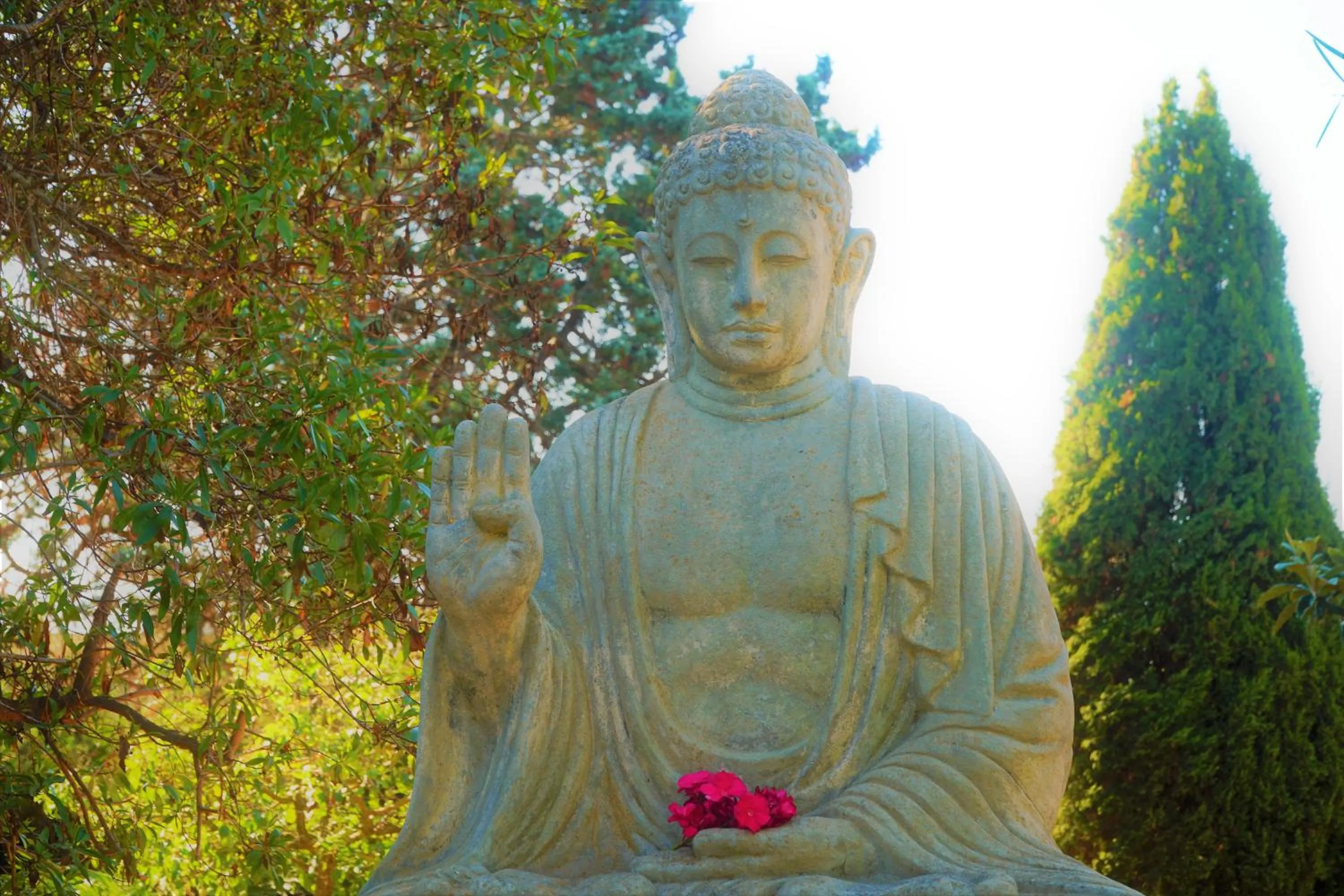 Agroturismo Finca Sa Tanca