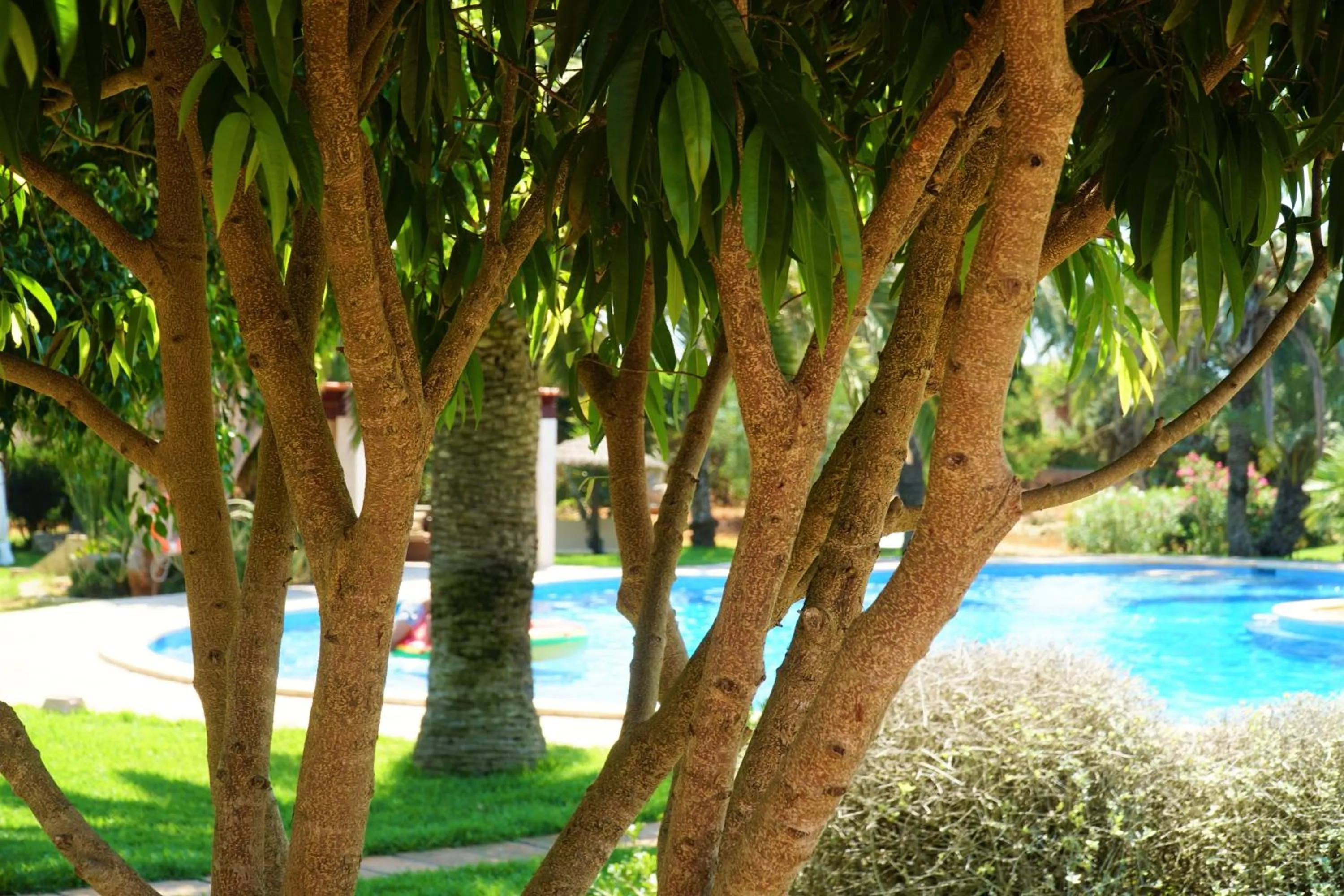 Agroturismo Finca Sa Tanca