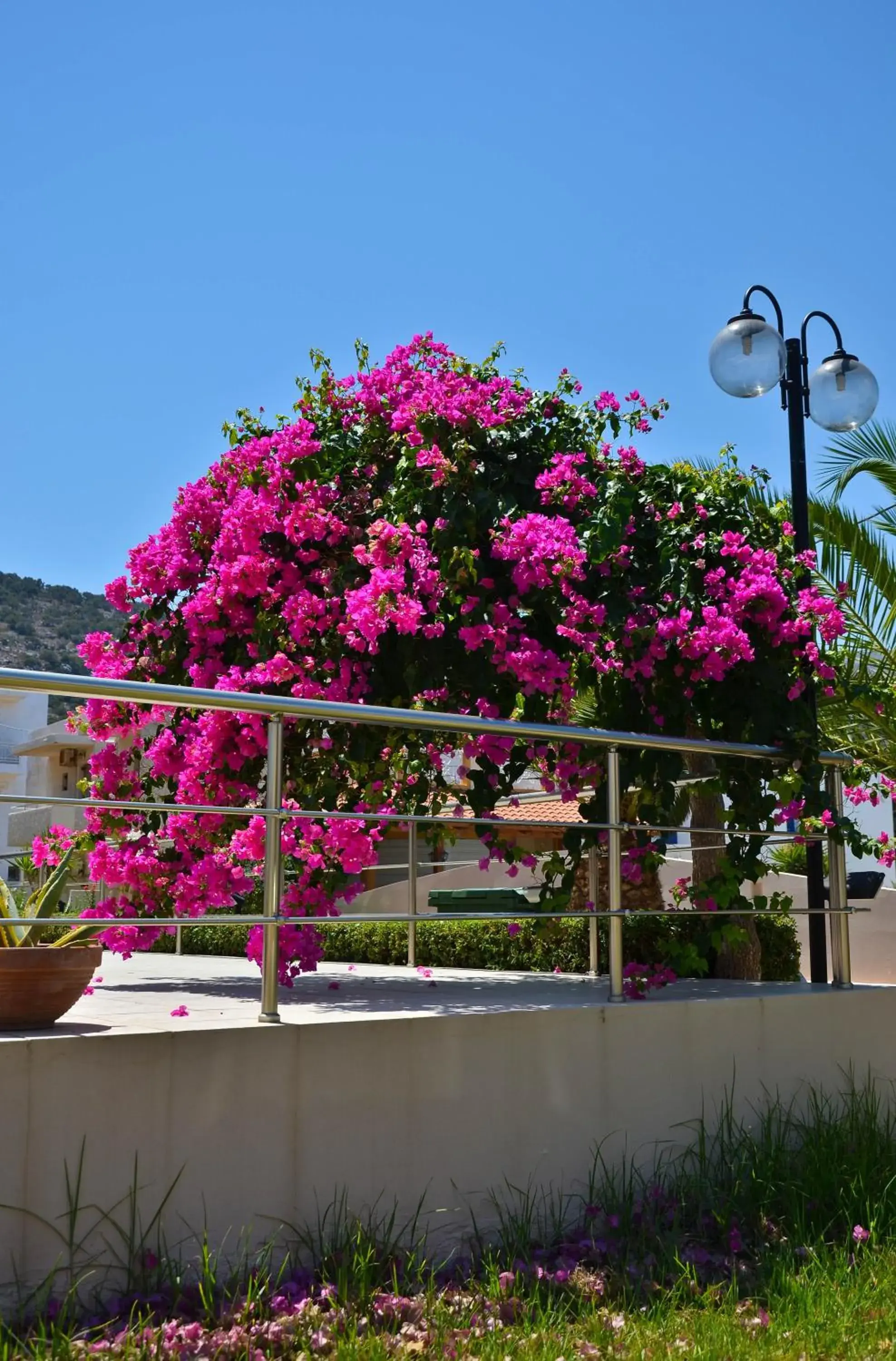 Garden view in Niko Elen Garden view in Niko Elen