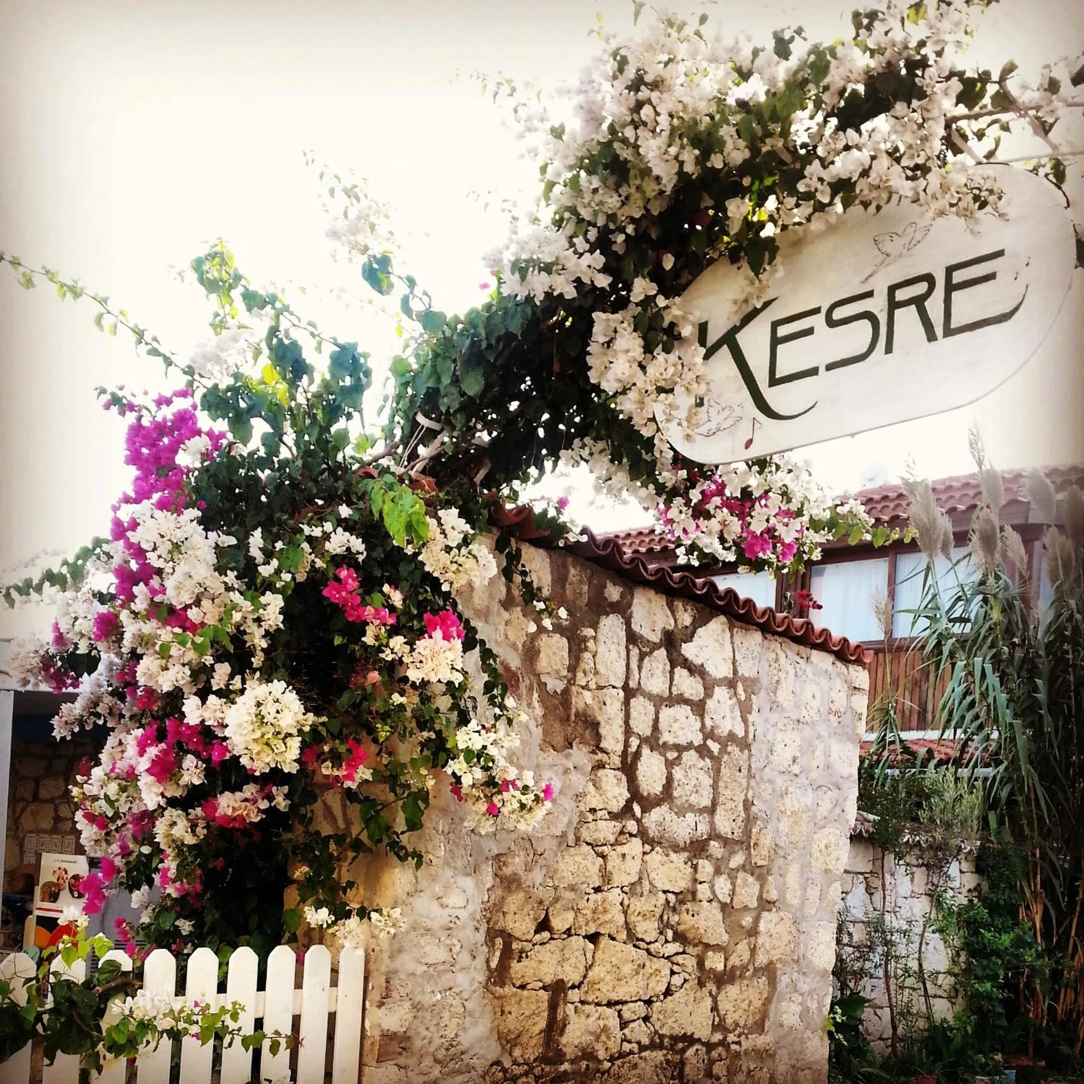 Facade/entrance in Kesre Hotel