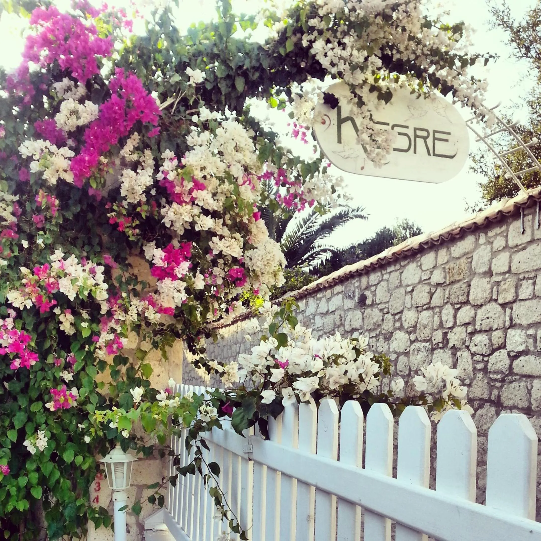 Facade/entrance in Kesre Hotel