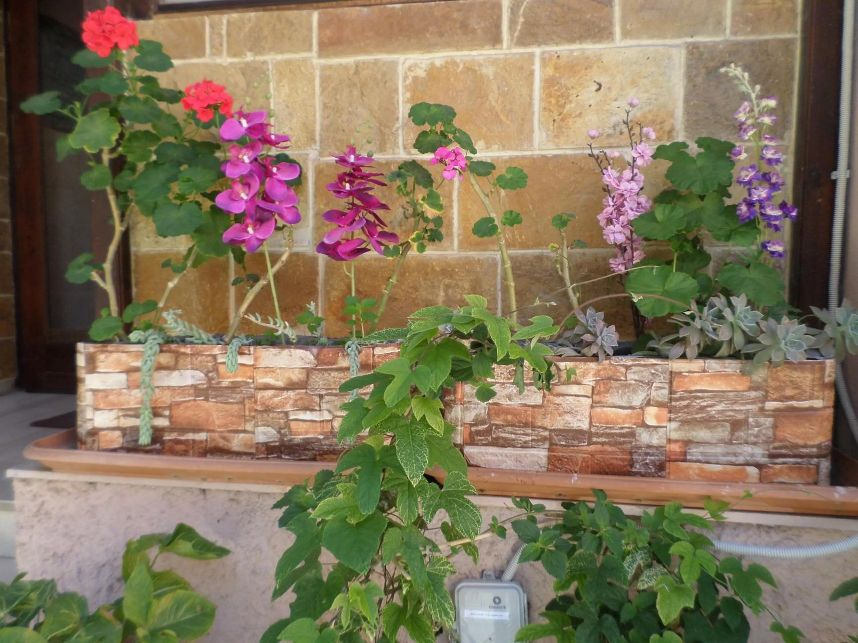 Property building in Tina Hotel