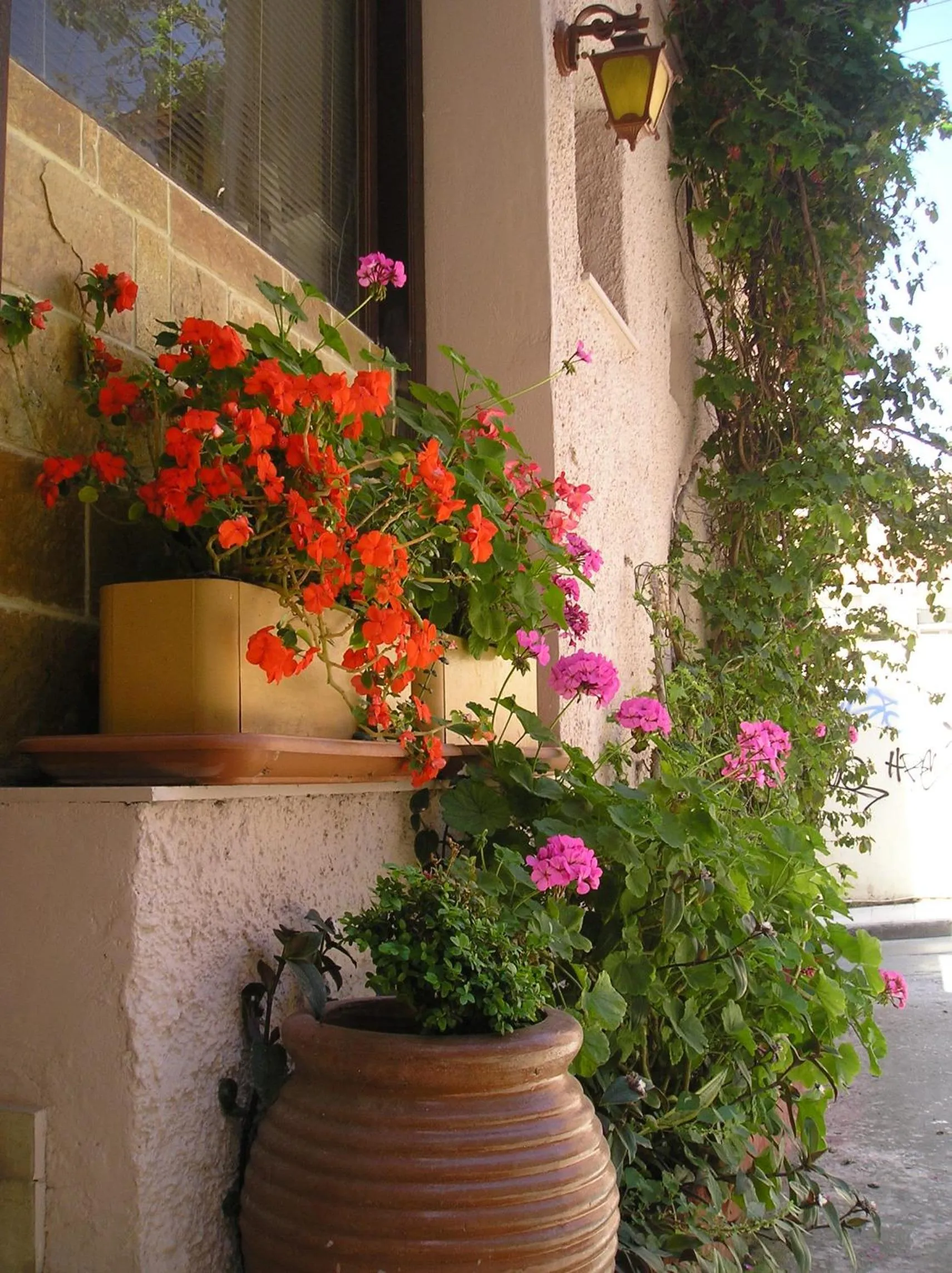 Garden in Tina Hotel