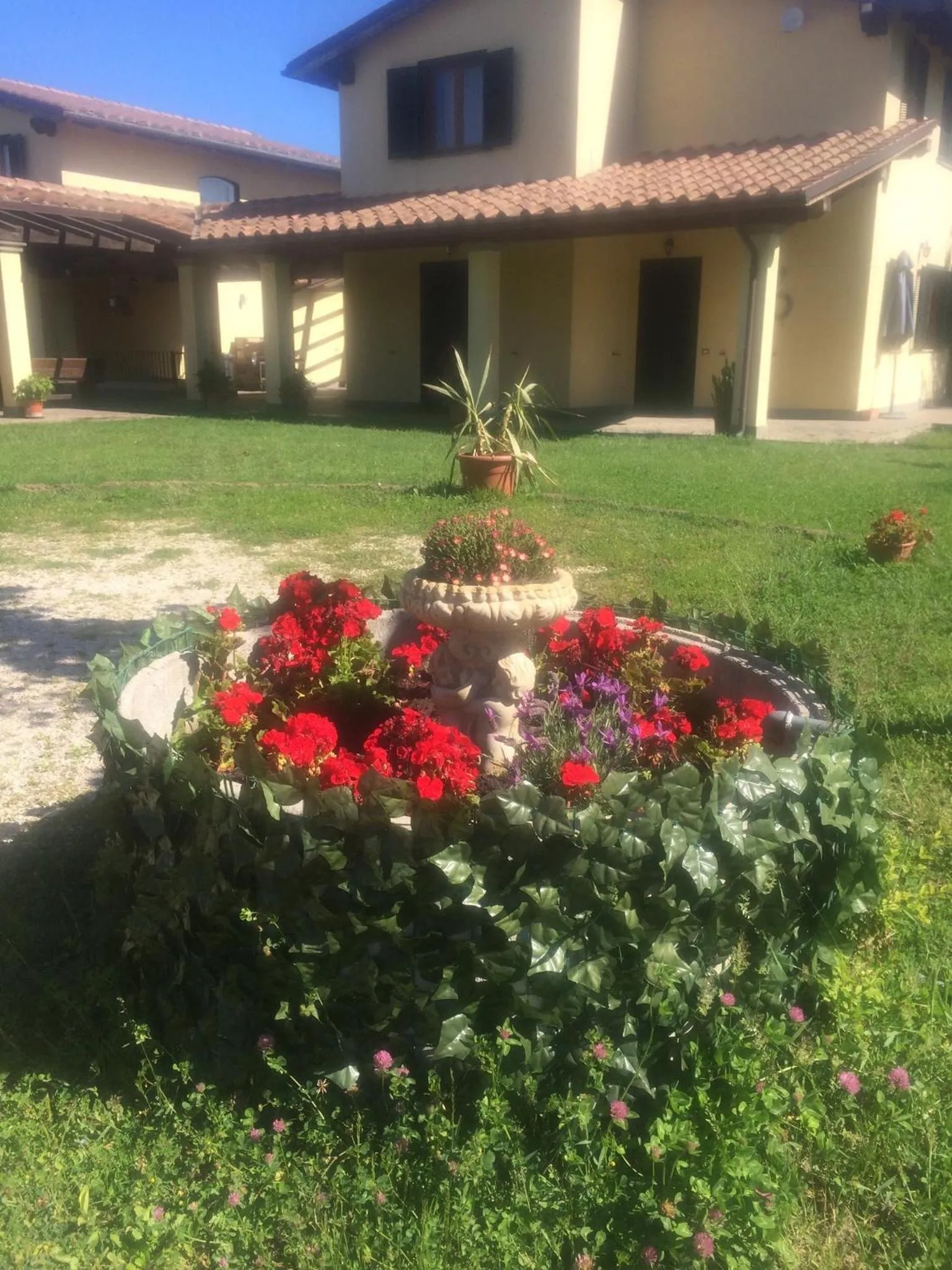 Garden in Oasi Del Verde