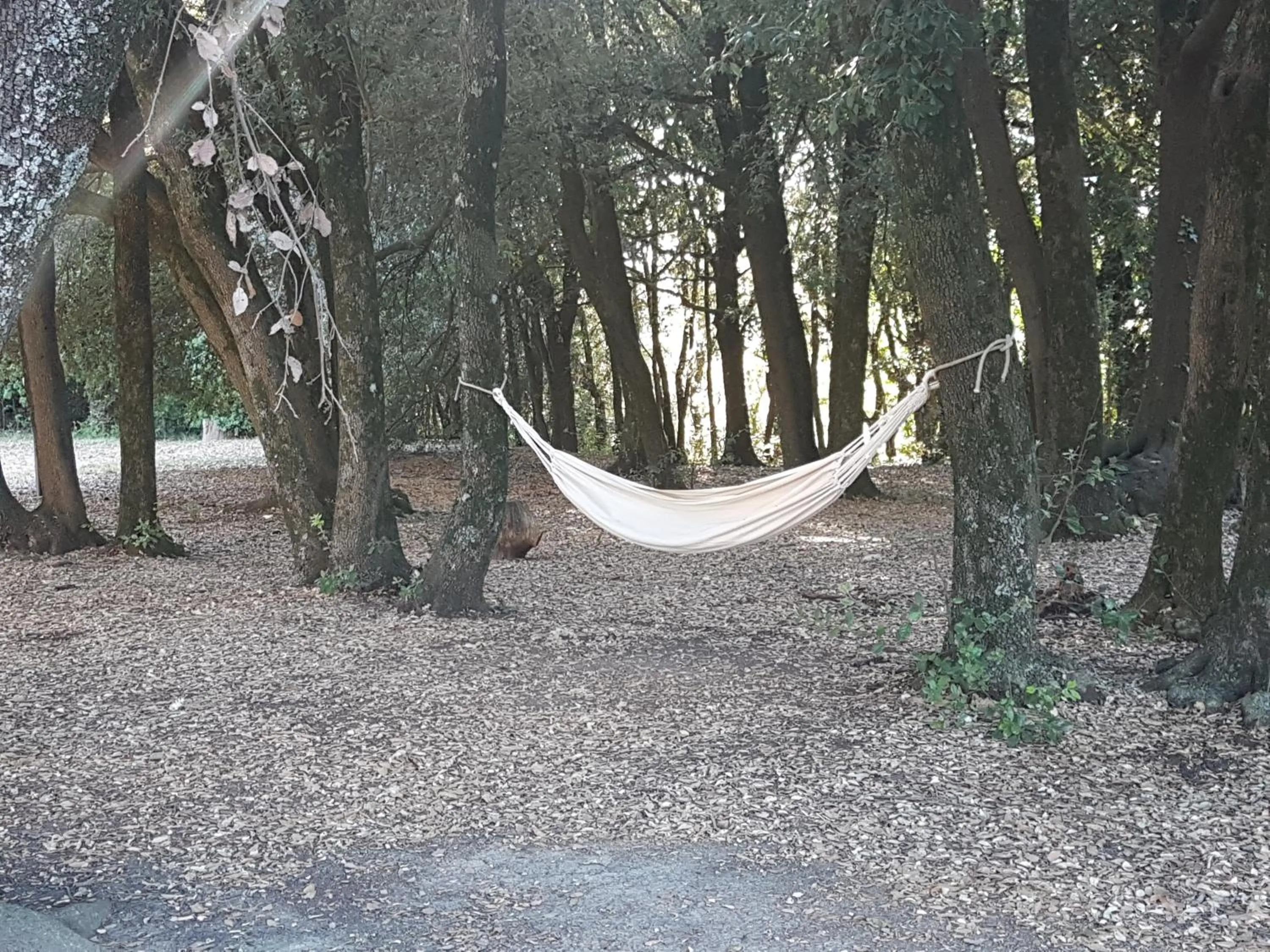 Garden in Locanda il Boschetto