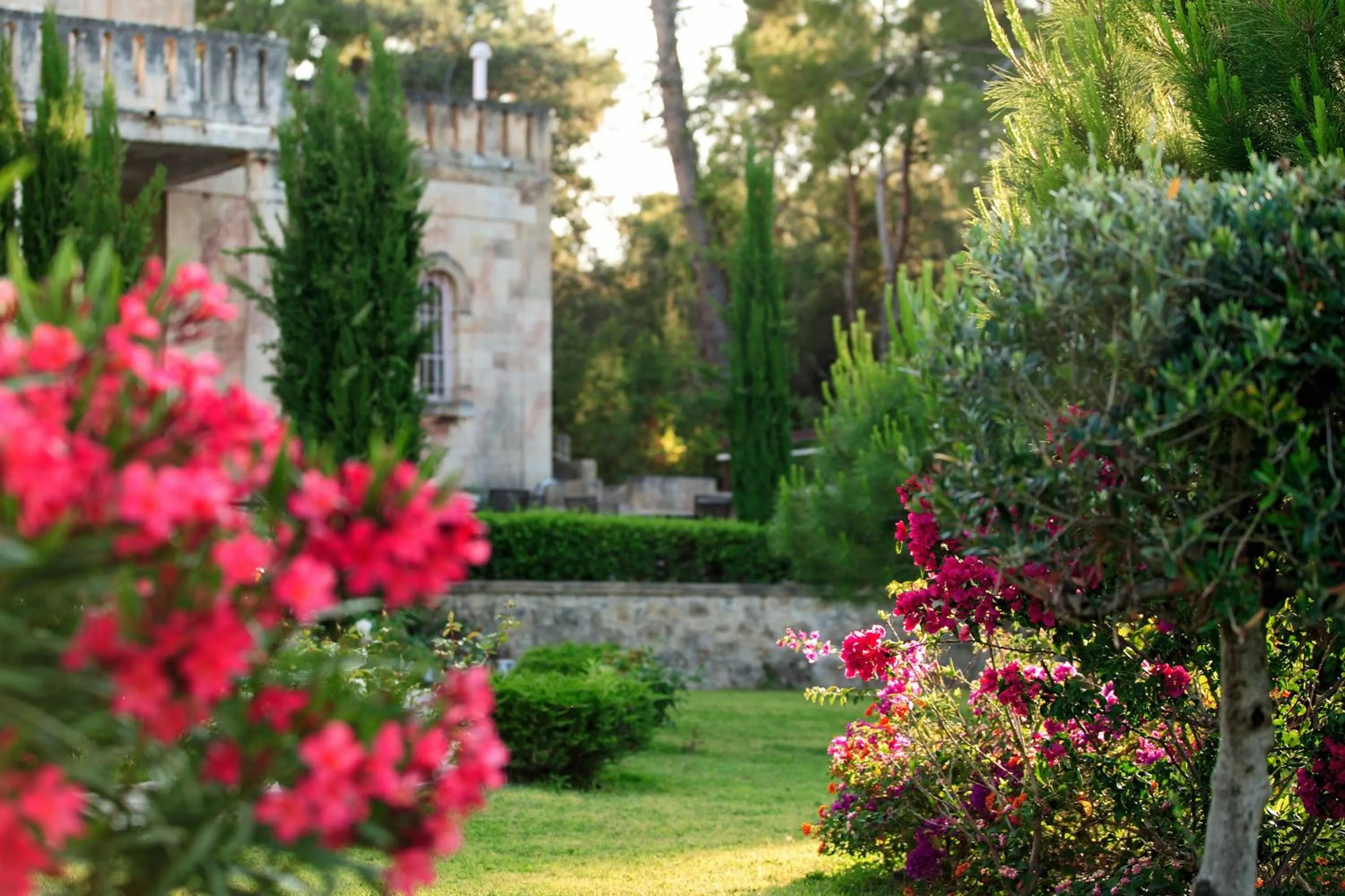 Garden in Sikyon Coast Hotel And Resort