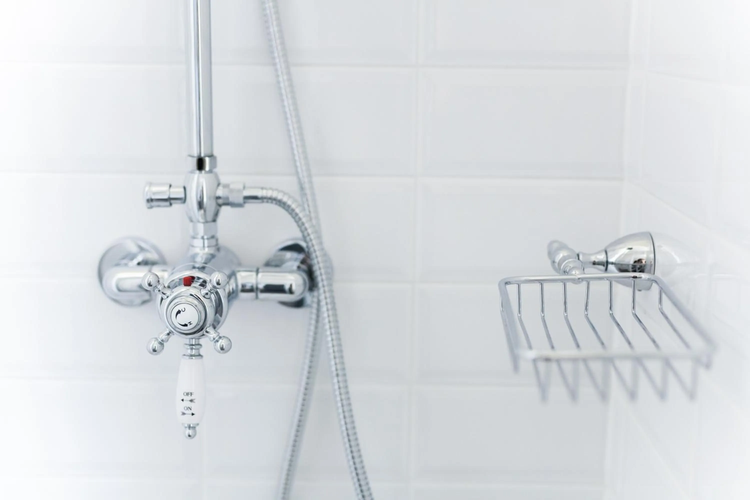 Shower in Alessia's Place