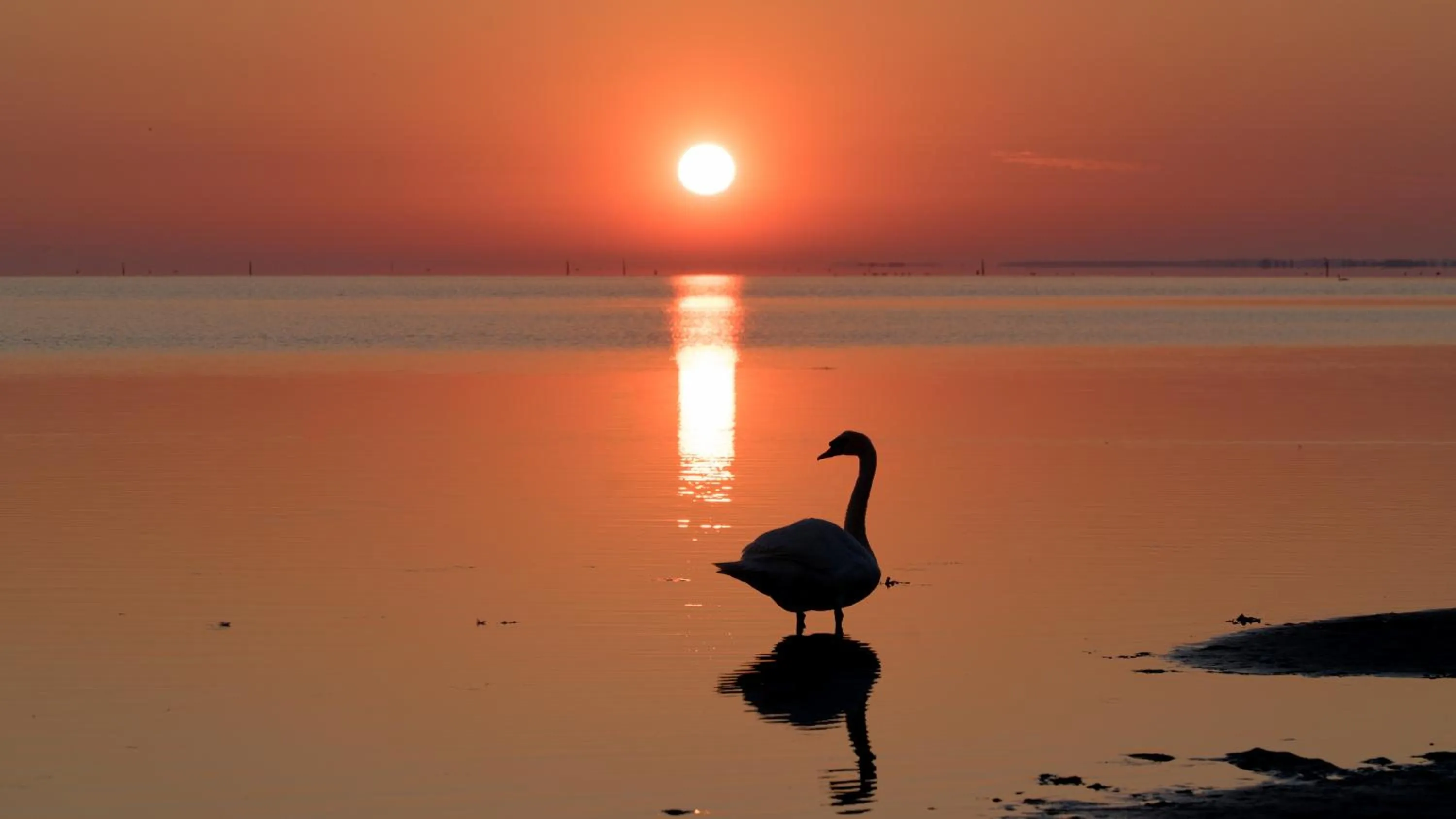 Natural landscape in Bandholm Badehotel