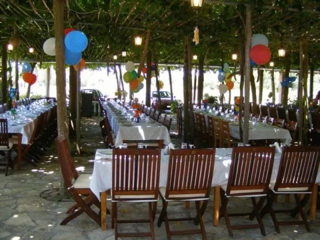 Restaurant/places to eat in Lintzi Hotel