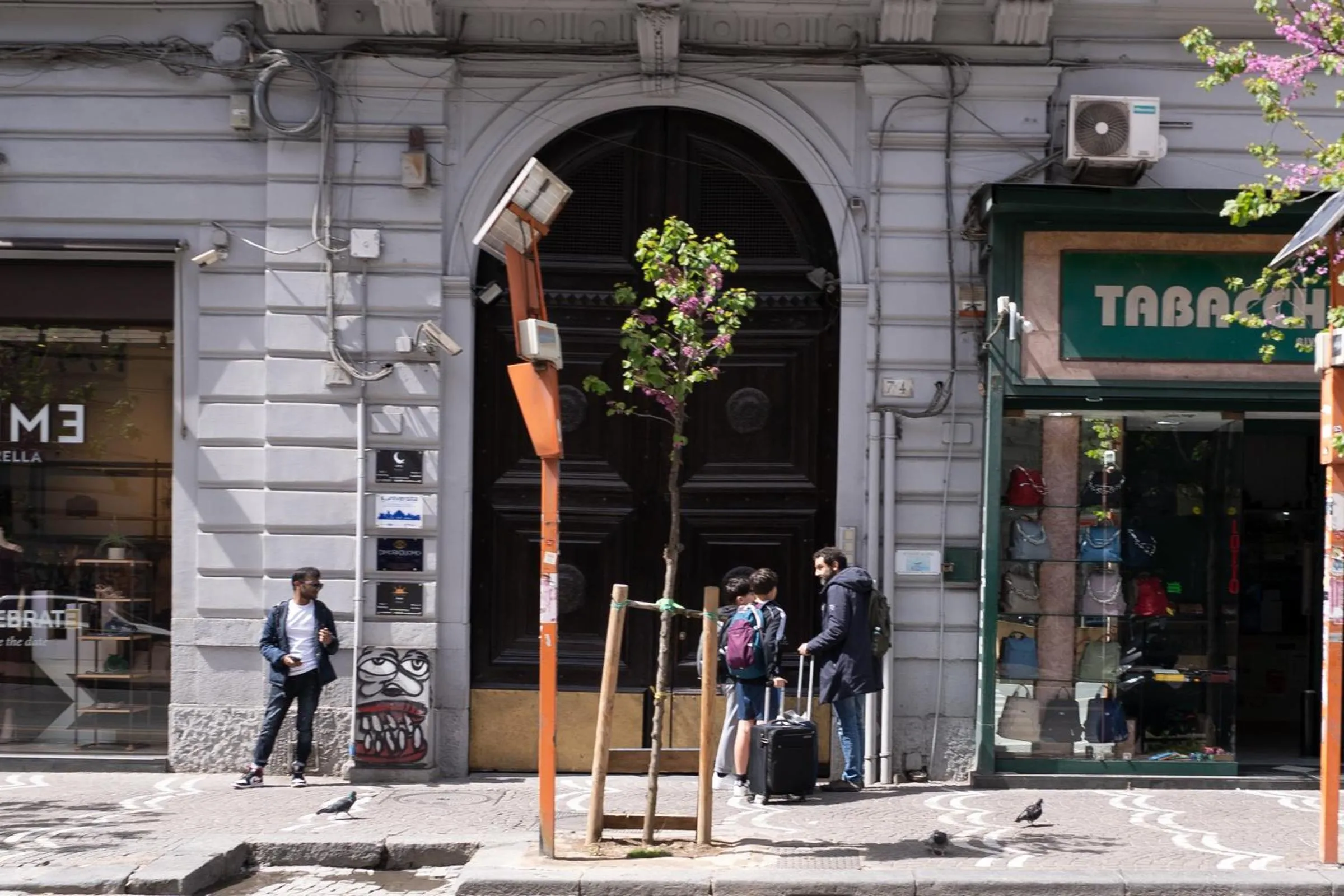 Property building in B&B Università