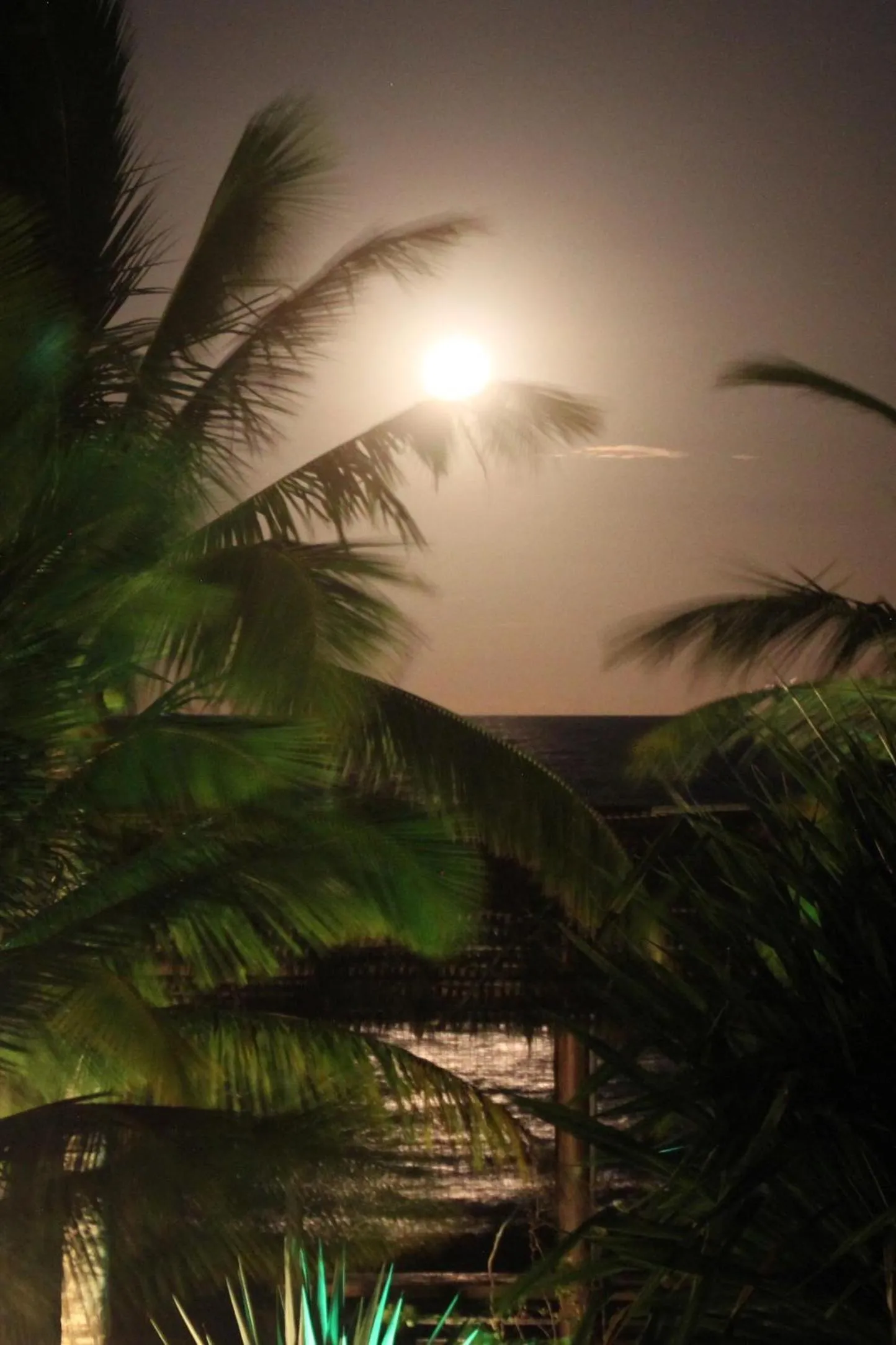 Sea view in Ouro Sobre Azul Apart Hotel