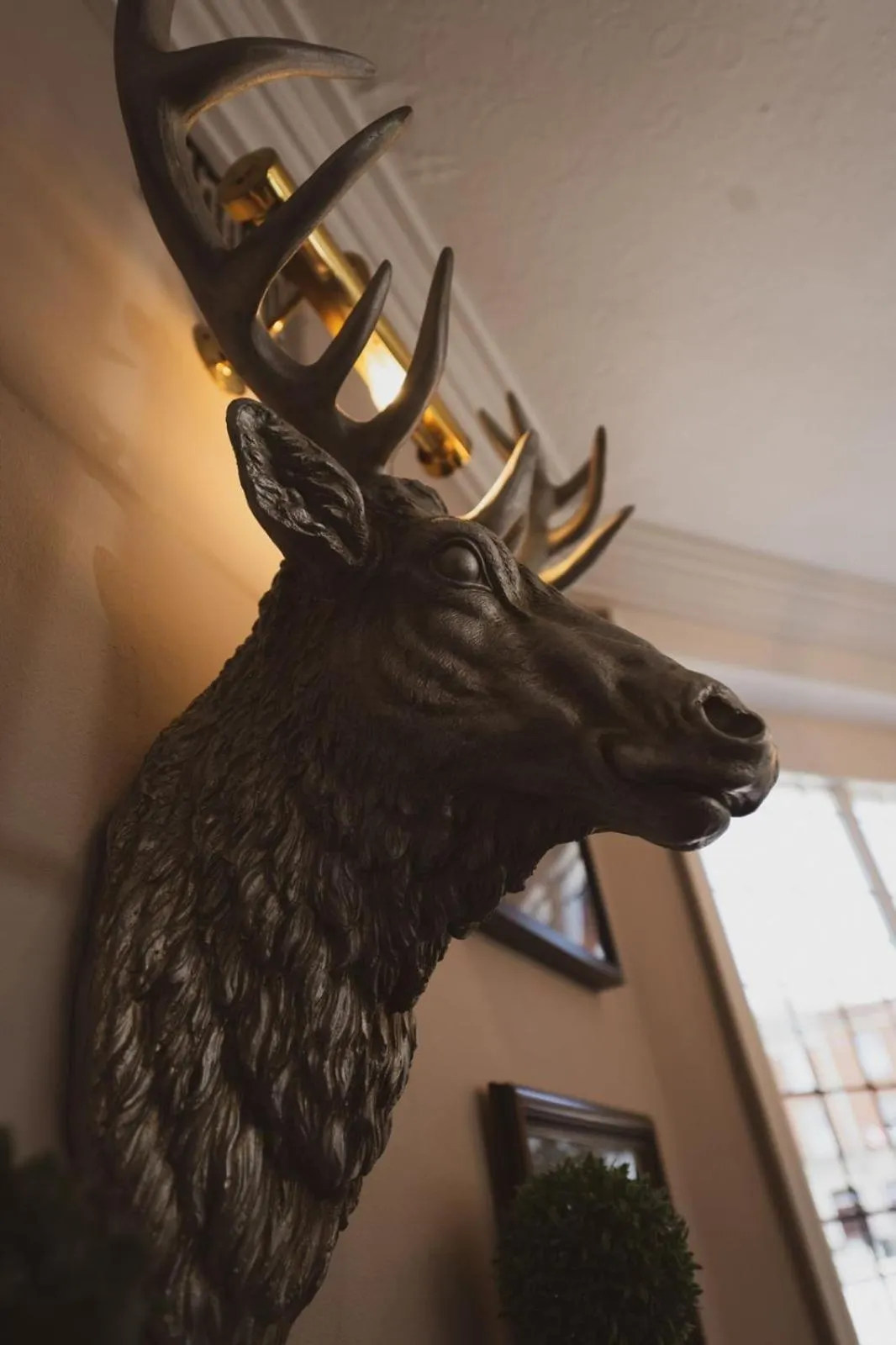 Decorative detail in The Stag Hotel, Restaurant and Bar