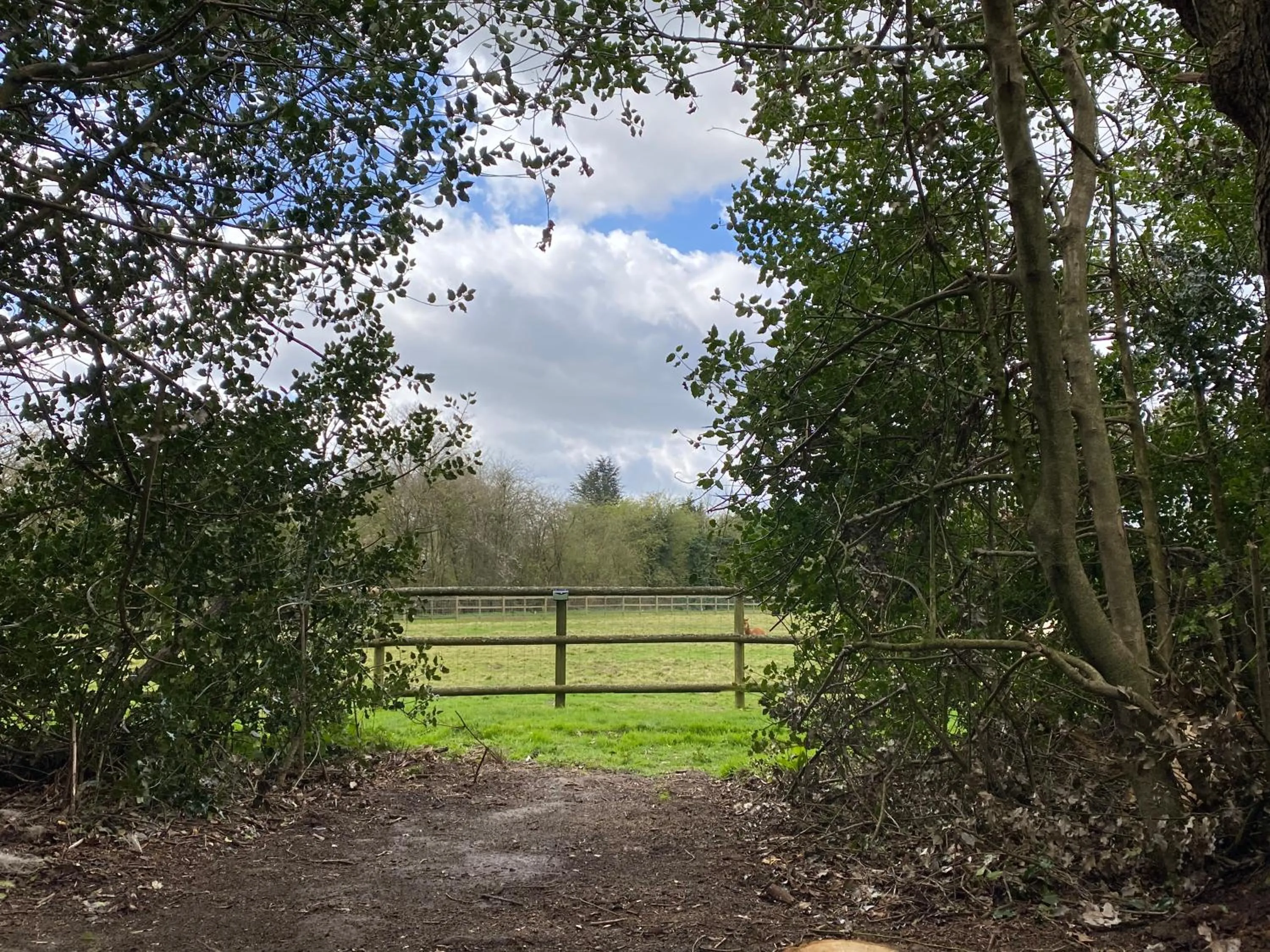 Natural landscape in The Secret Cottage & Hideaway Caravan