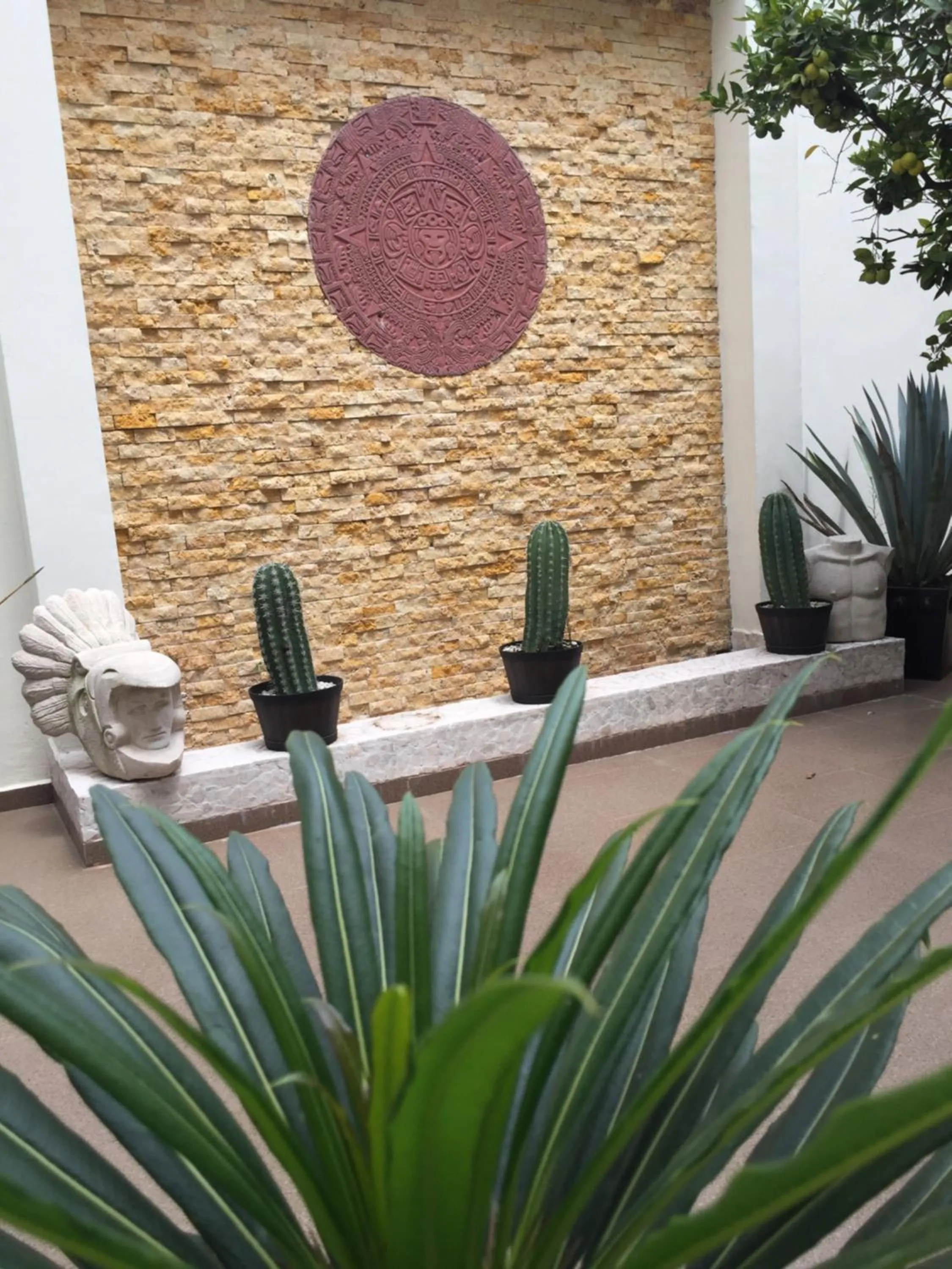 Garden in Hotel Boutique Yaocalli