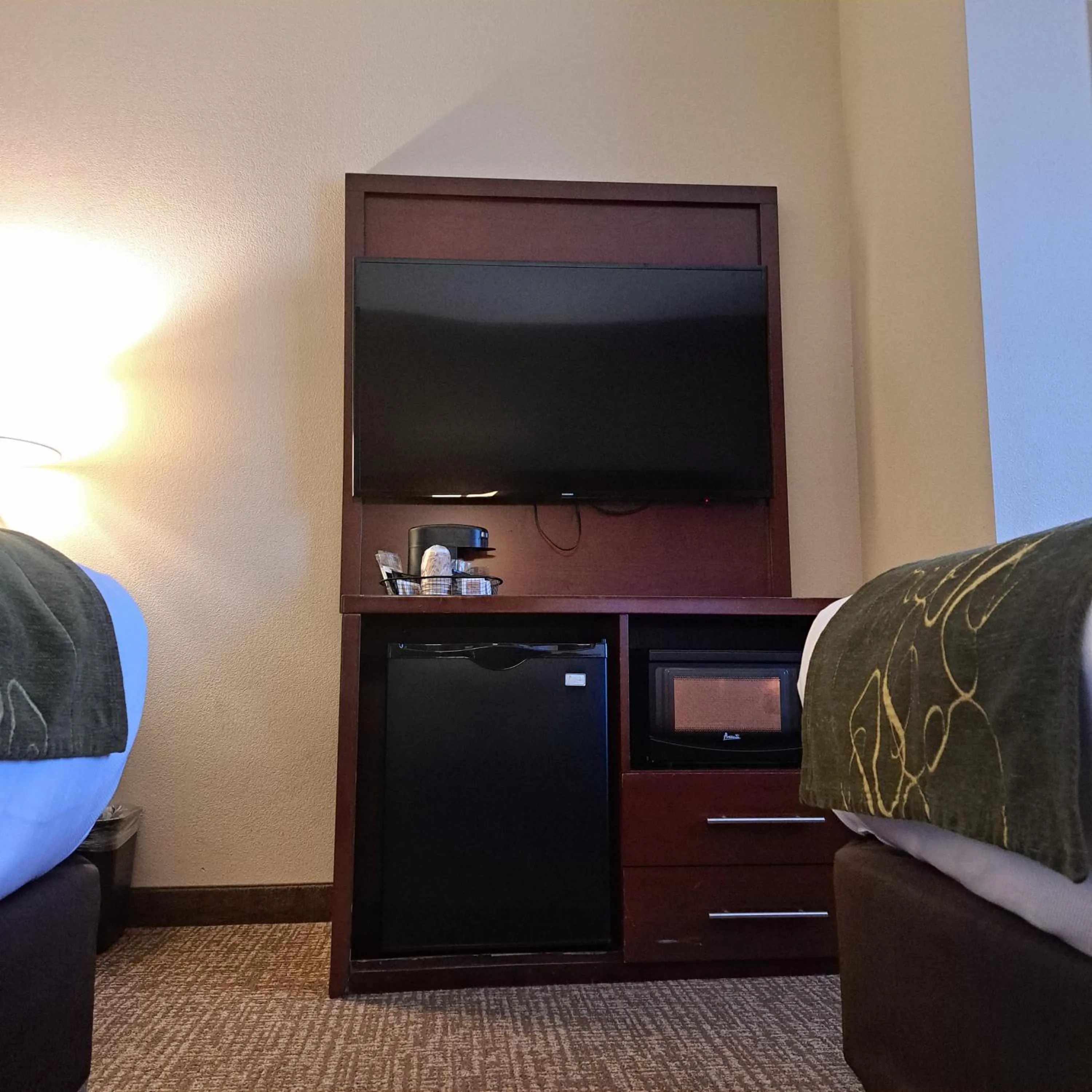 TV and multimedia in Comfort Suites Nashville near Percy Priest Lake
