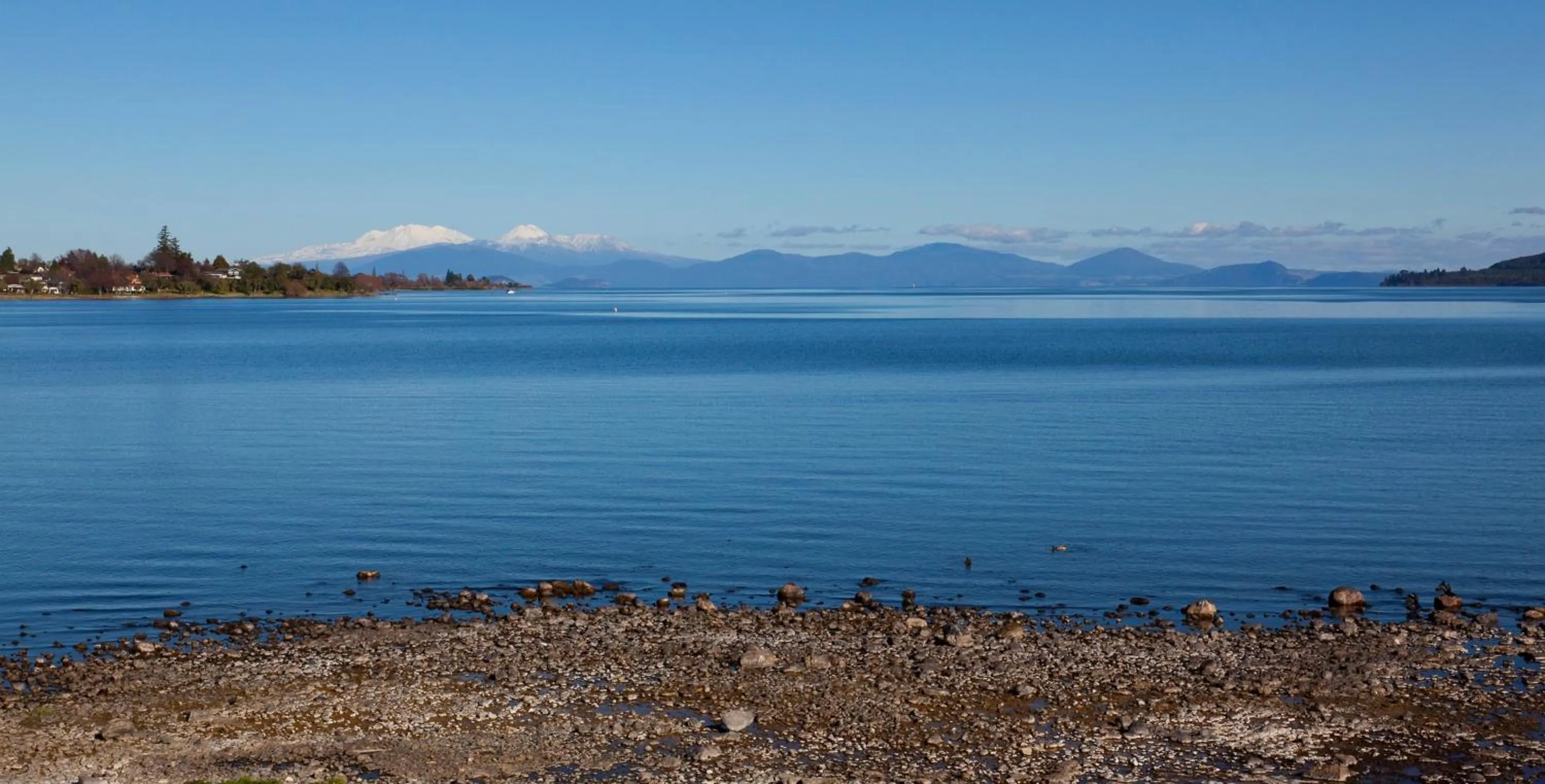 View (from property/room) in The Reef Resort