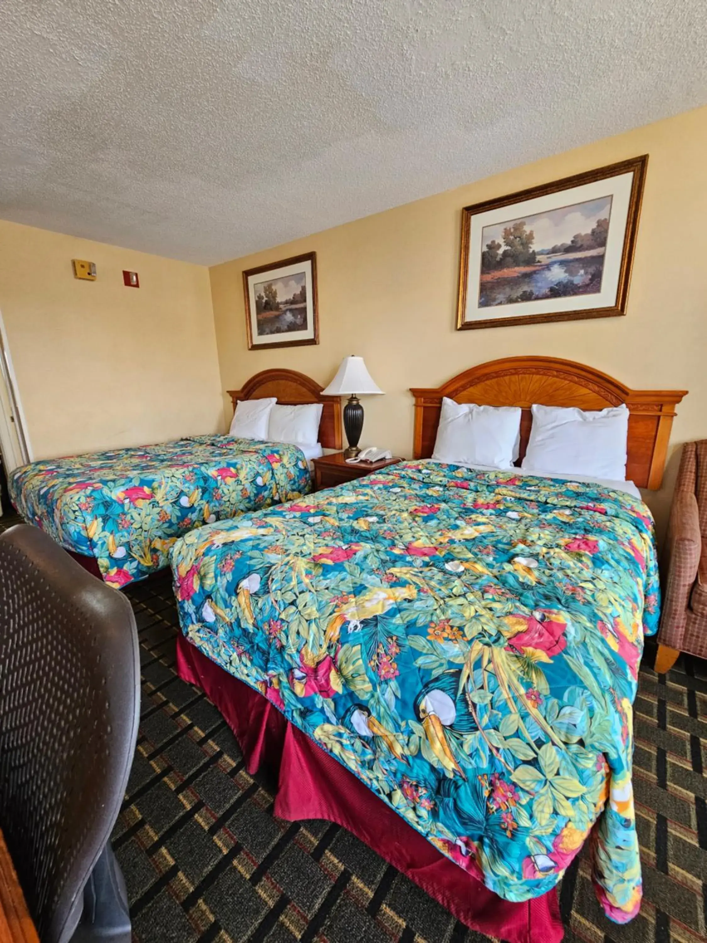 Bed in Jameson Inn Douglas Bed in Jameson Inn Douglas