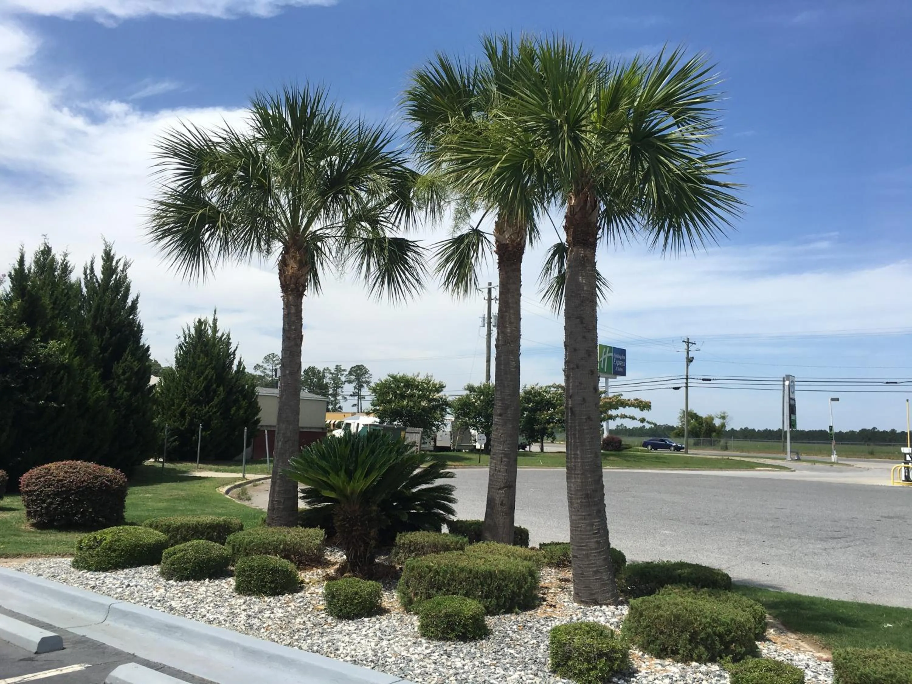 Neighbourhood in Jameson Inn Douglas