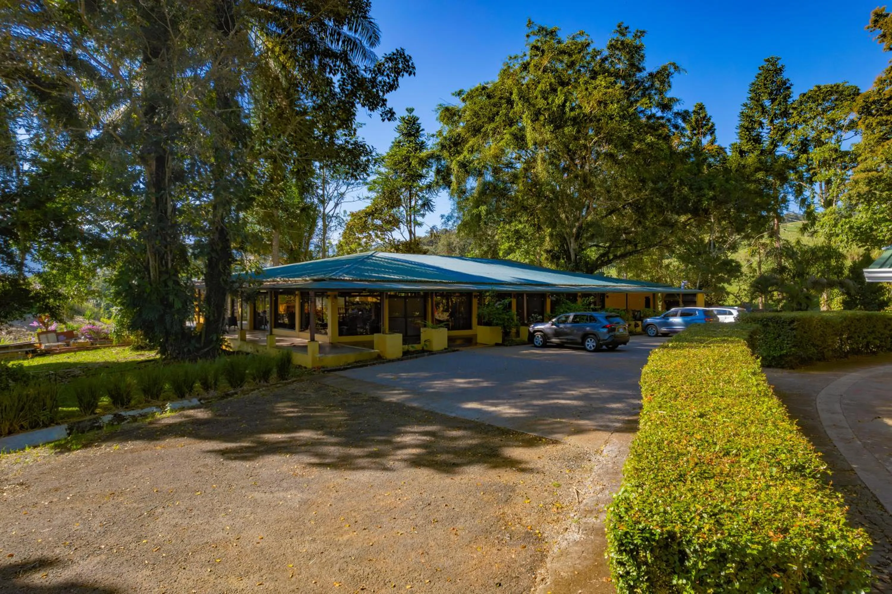 Garden in Hotel Villa Florencia