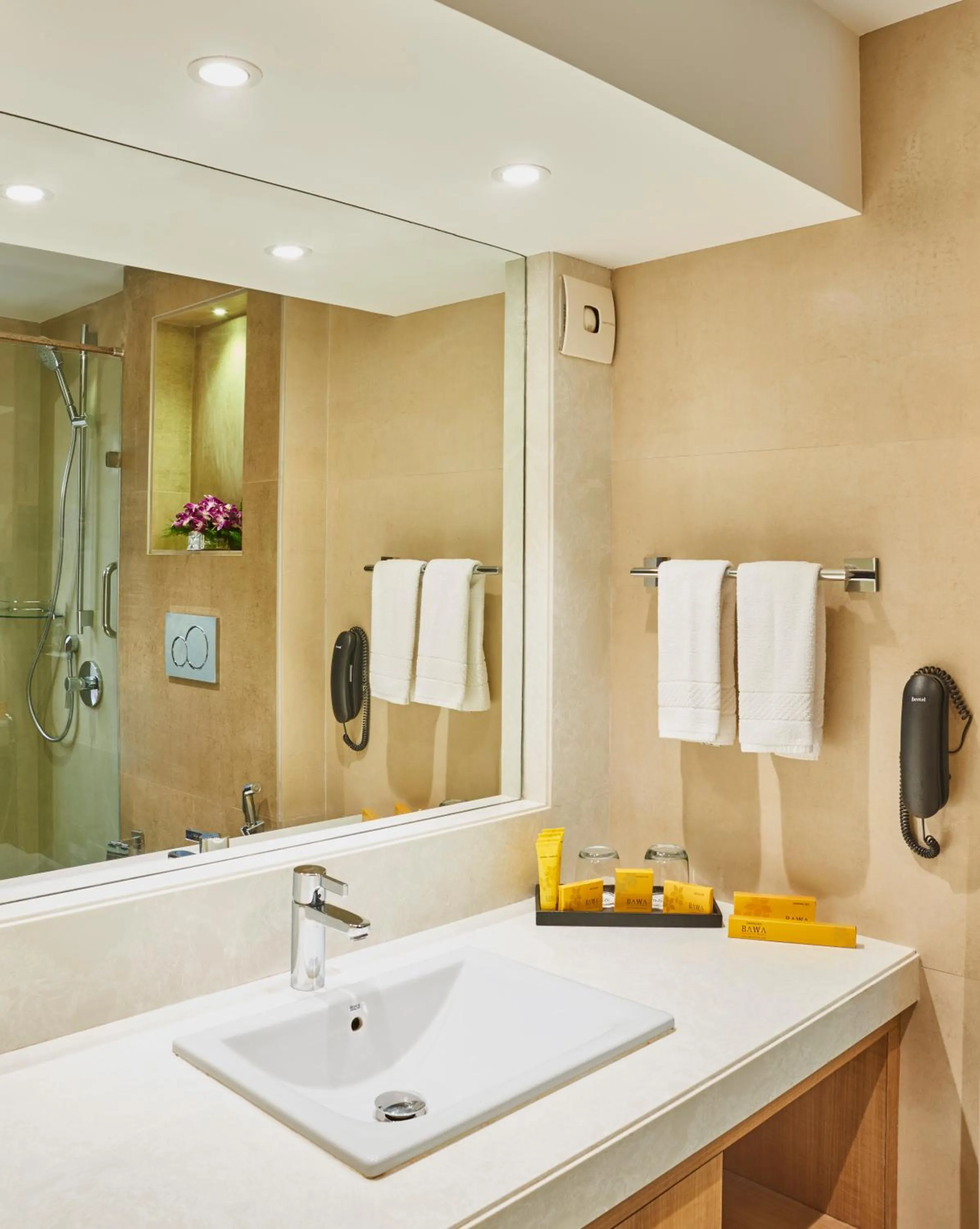 Bathroom in Hotel Bawa International