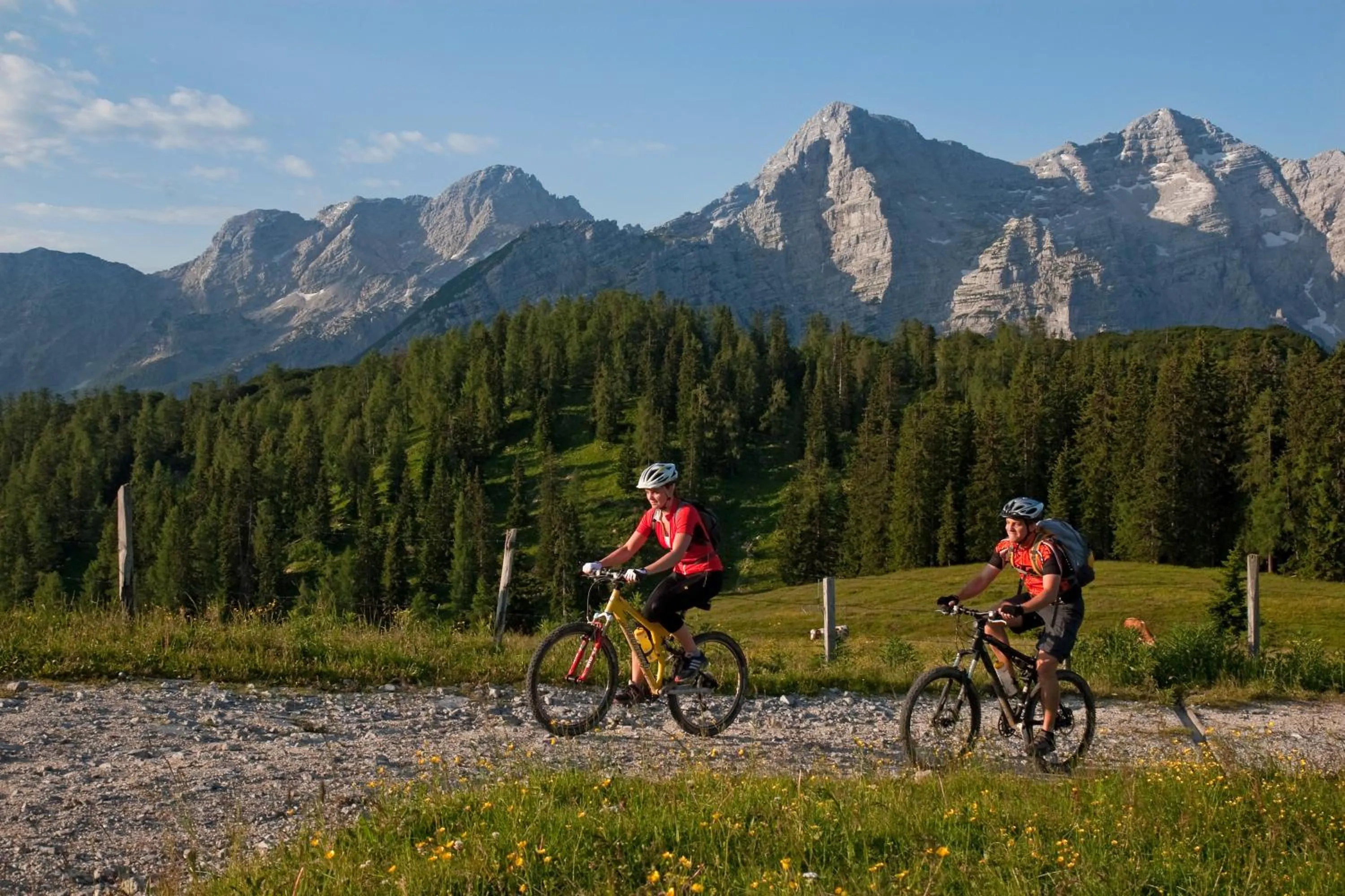 Cycling in Hotel & Restaurant Dankl