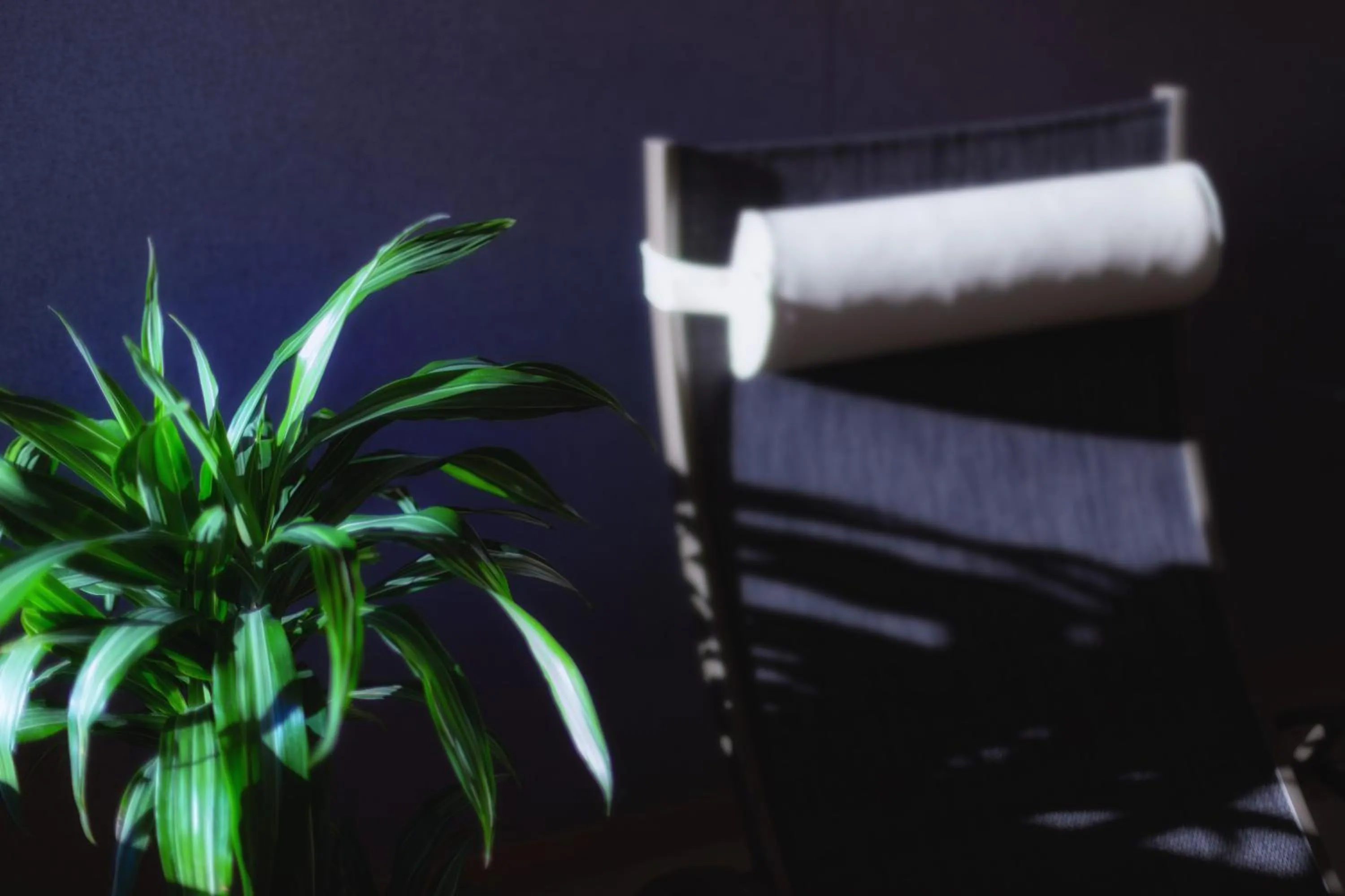 Spa and wellness centre/facilities in Belvedere