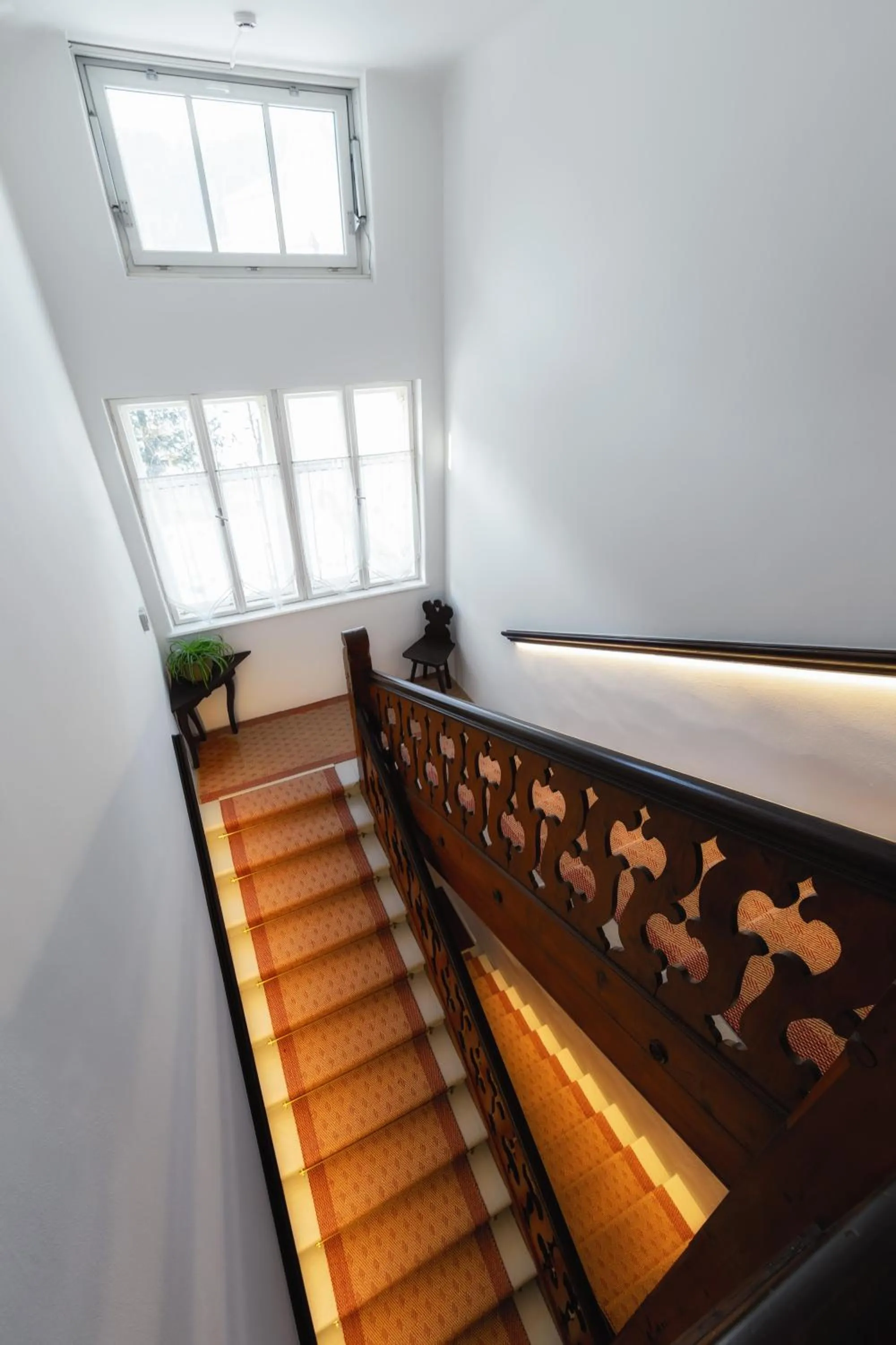 Property building in Belvedere