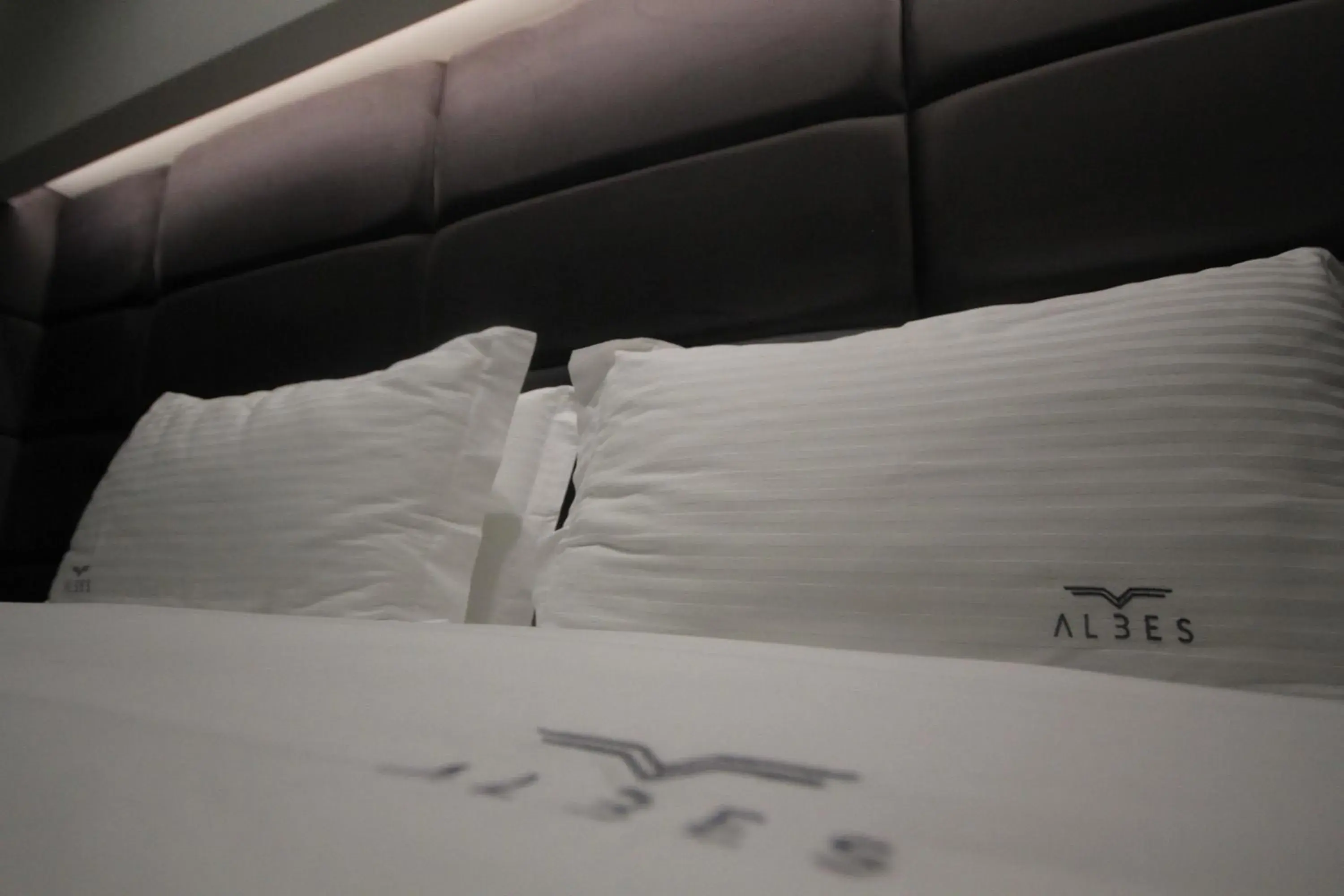 Deluxe Double or Twin Room in Albes Hotel Deluxe Double or Twin Room in Albes Hotel