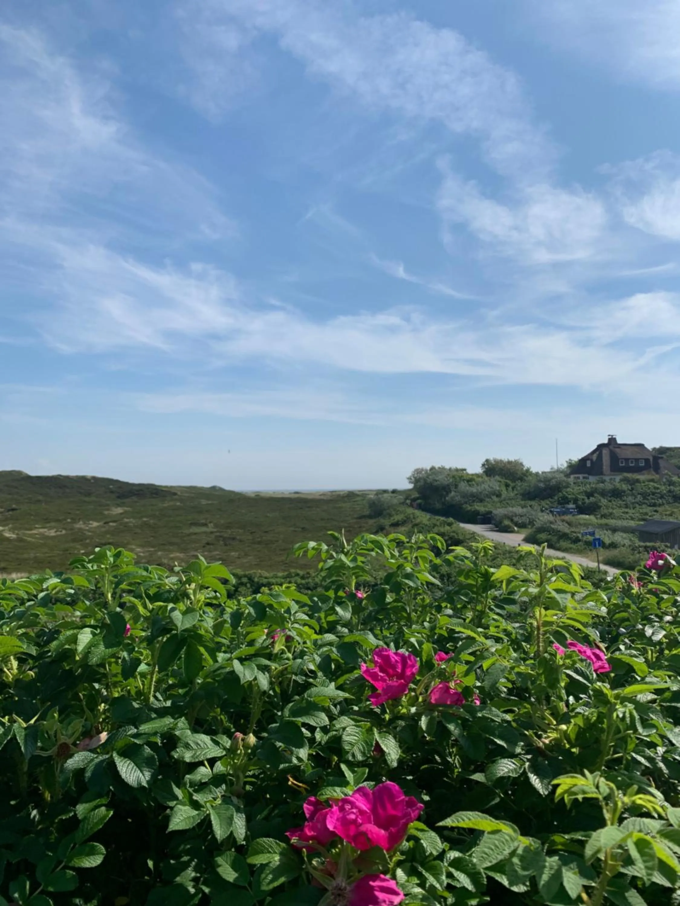 Sea view in ApartHotel Seepferdchen