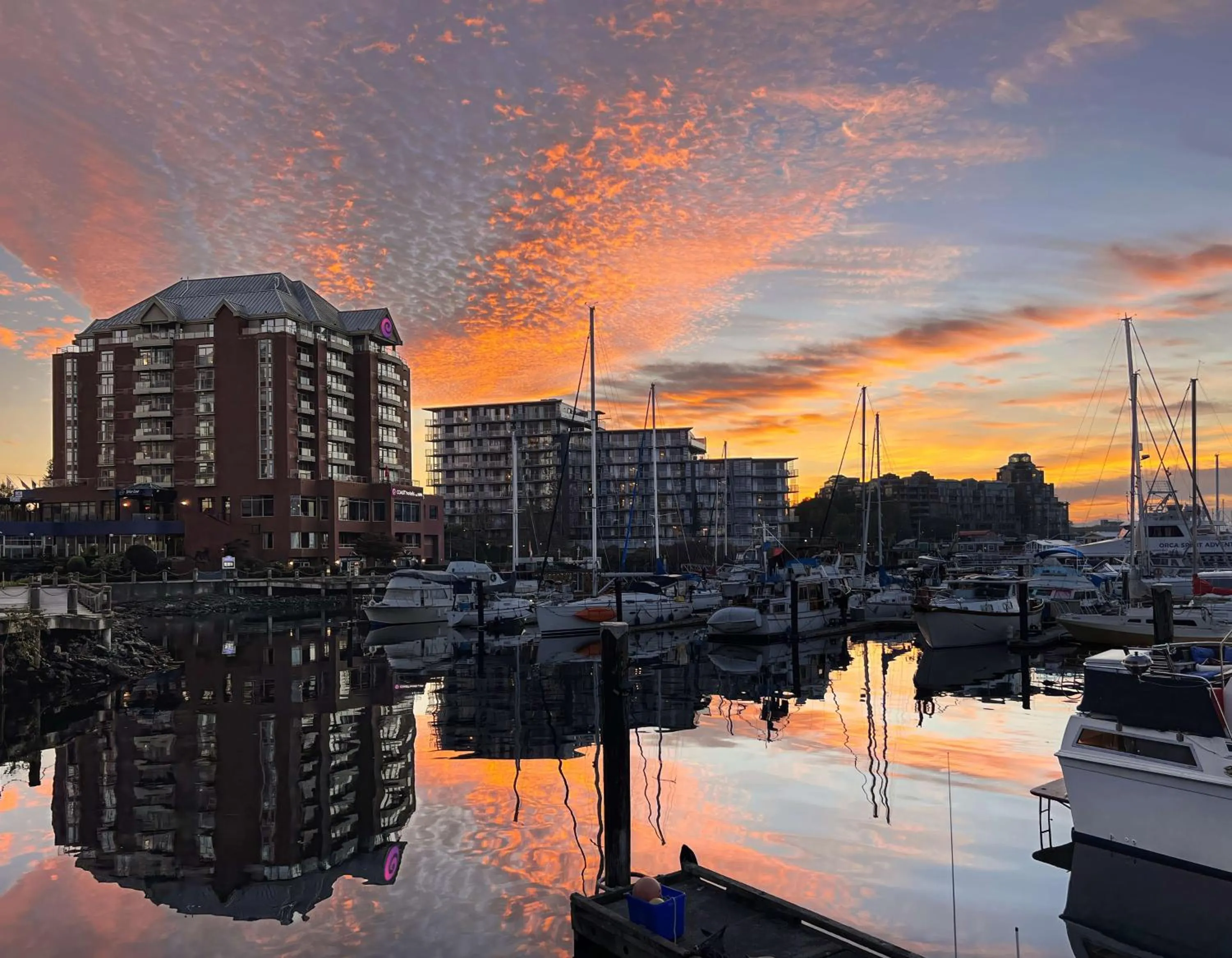 Property building in Coast Victoria Hotel & Marina by APA