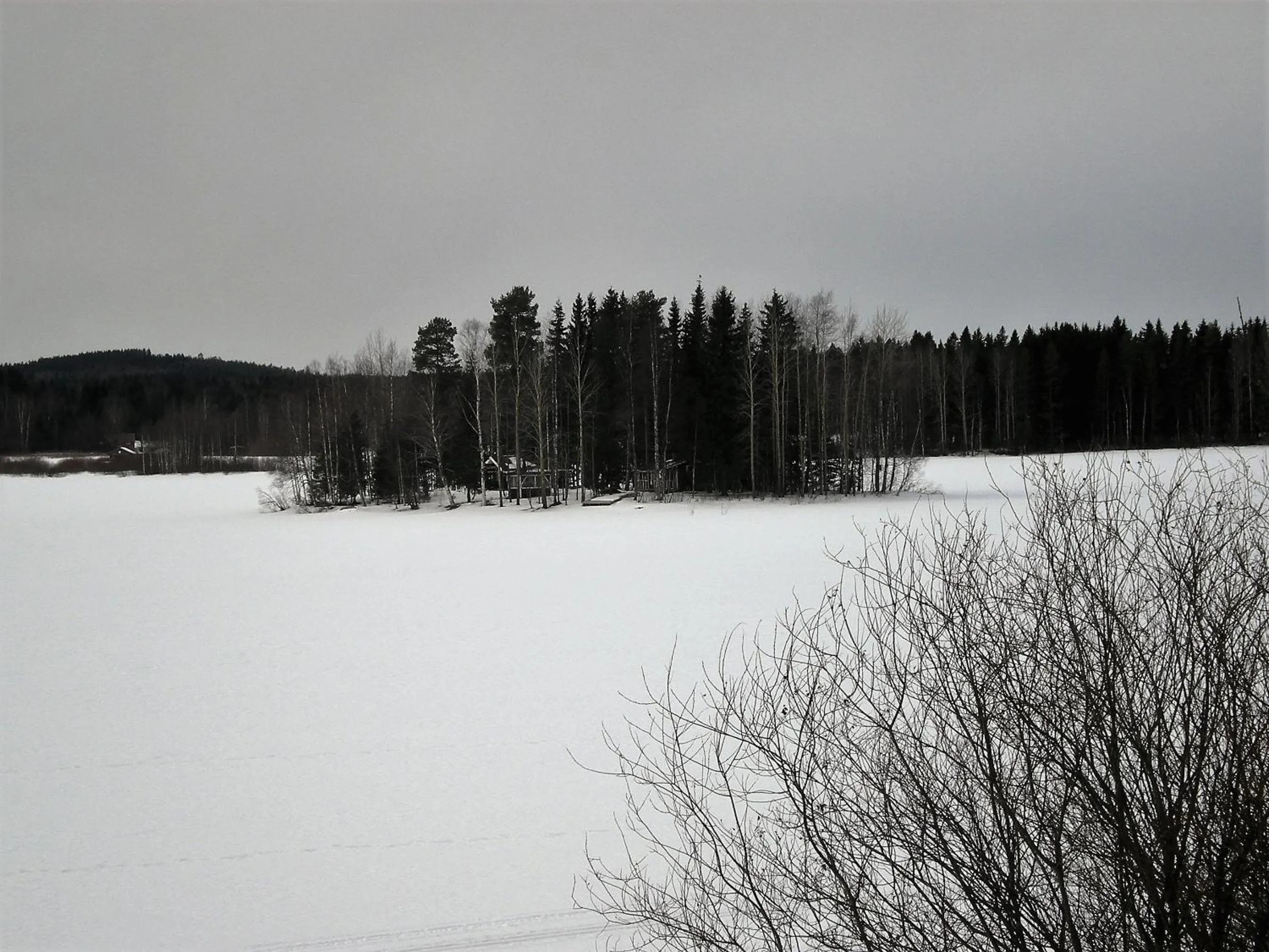 Natural landscape in Lomakoivulehto