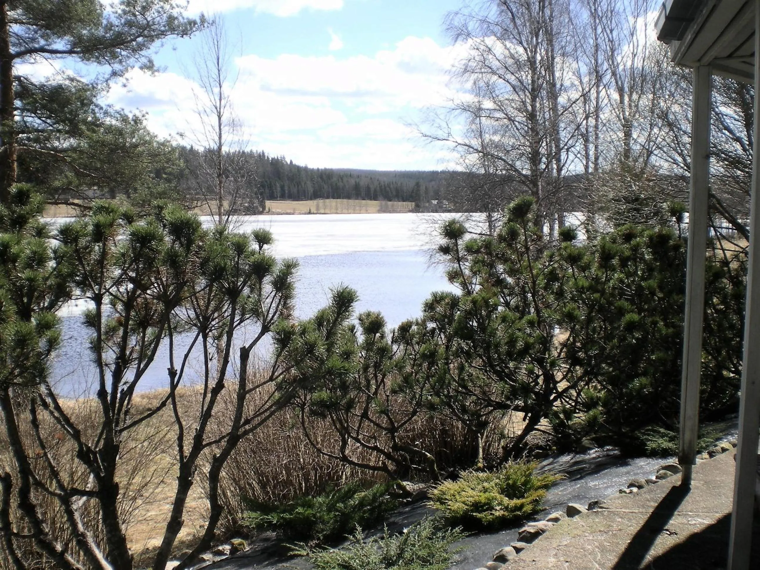 Natural landscape in Lomakoivulehto