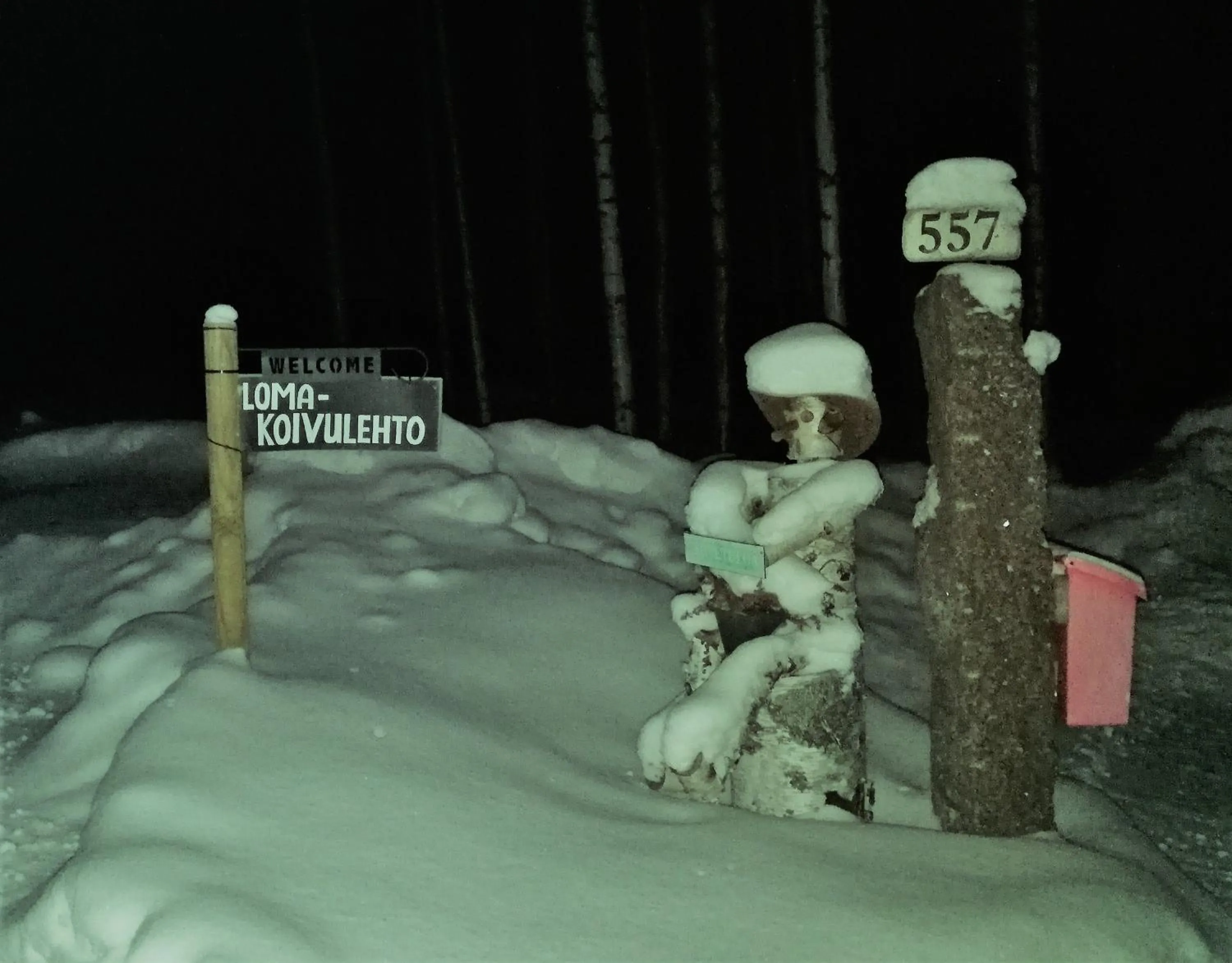 Winter in Lomakoivulehto