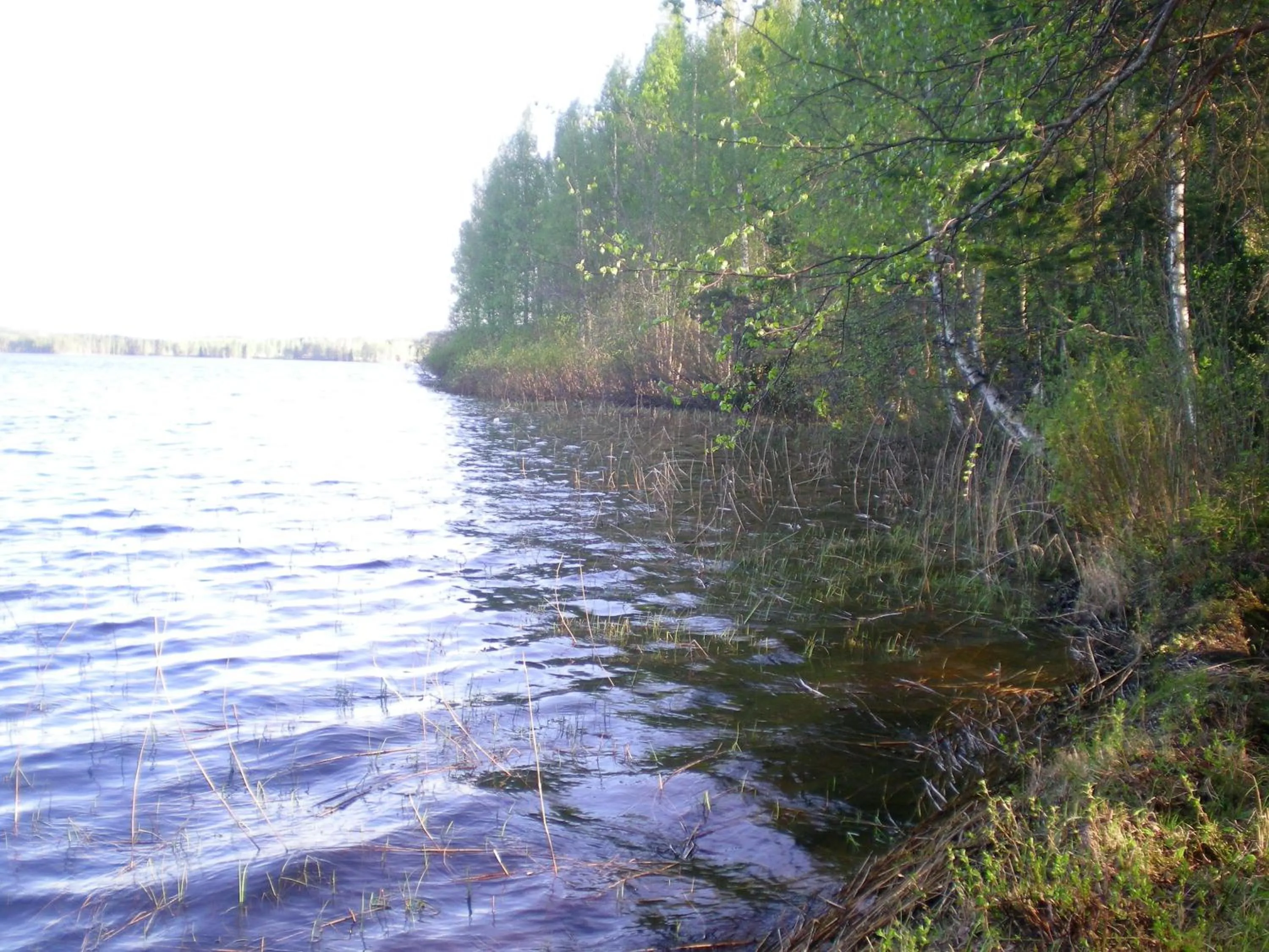 View (from property/room) in Lomakoivulehto