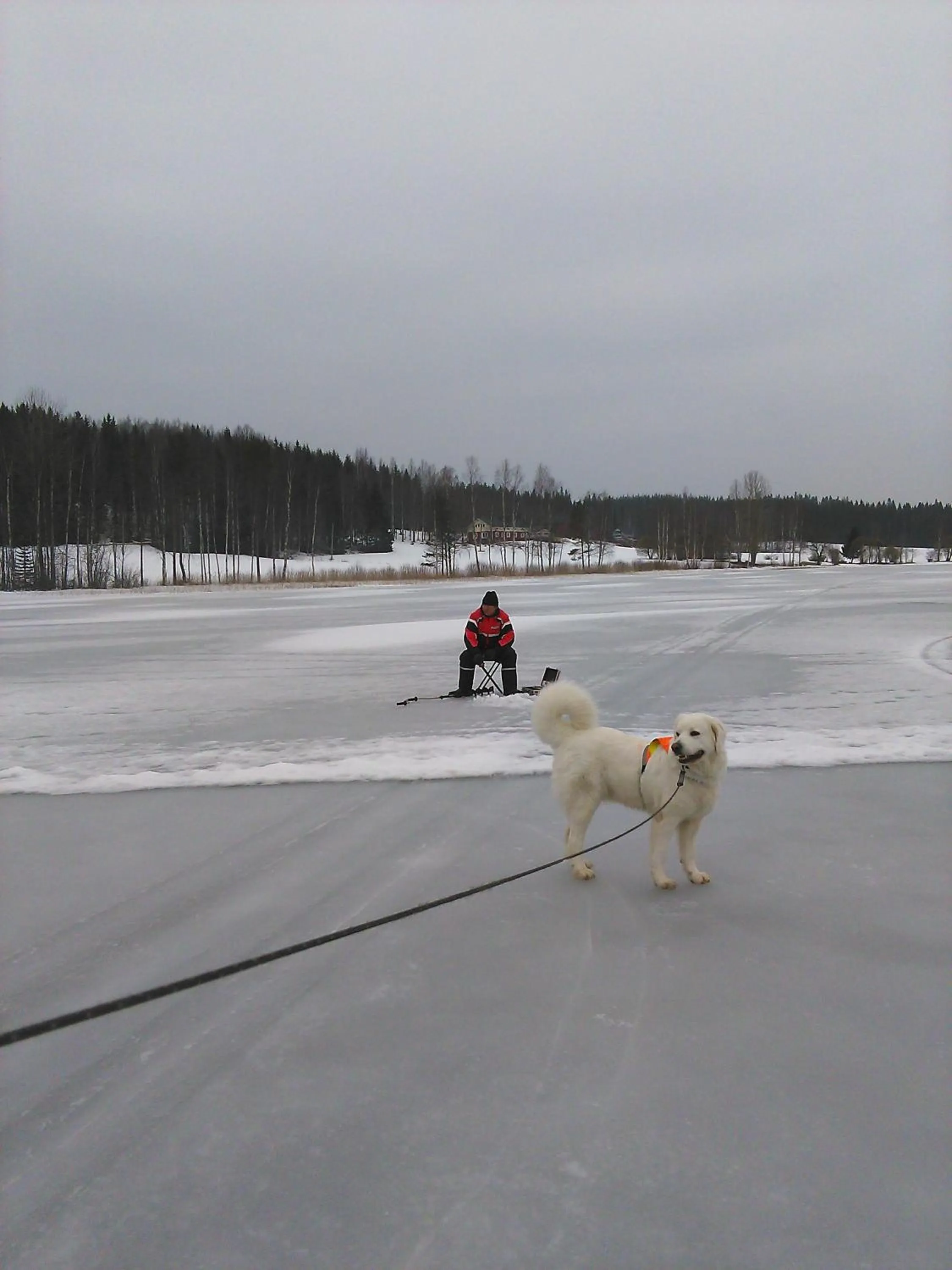 Neighbourhood in Lomakoivulehto