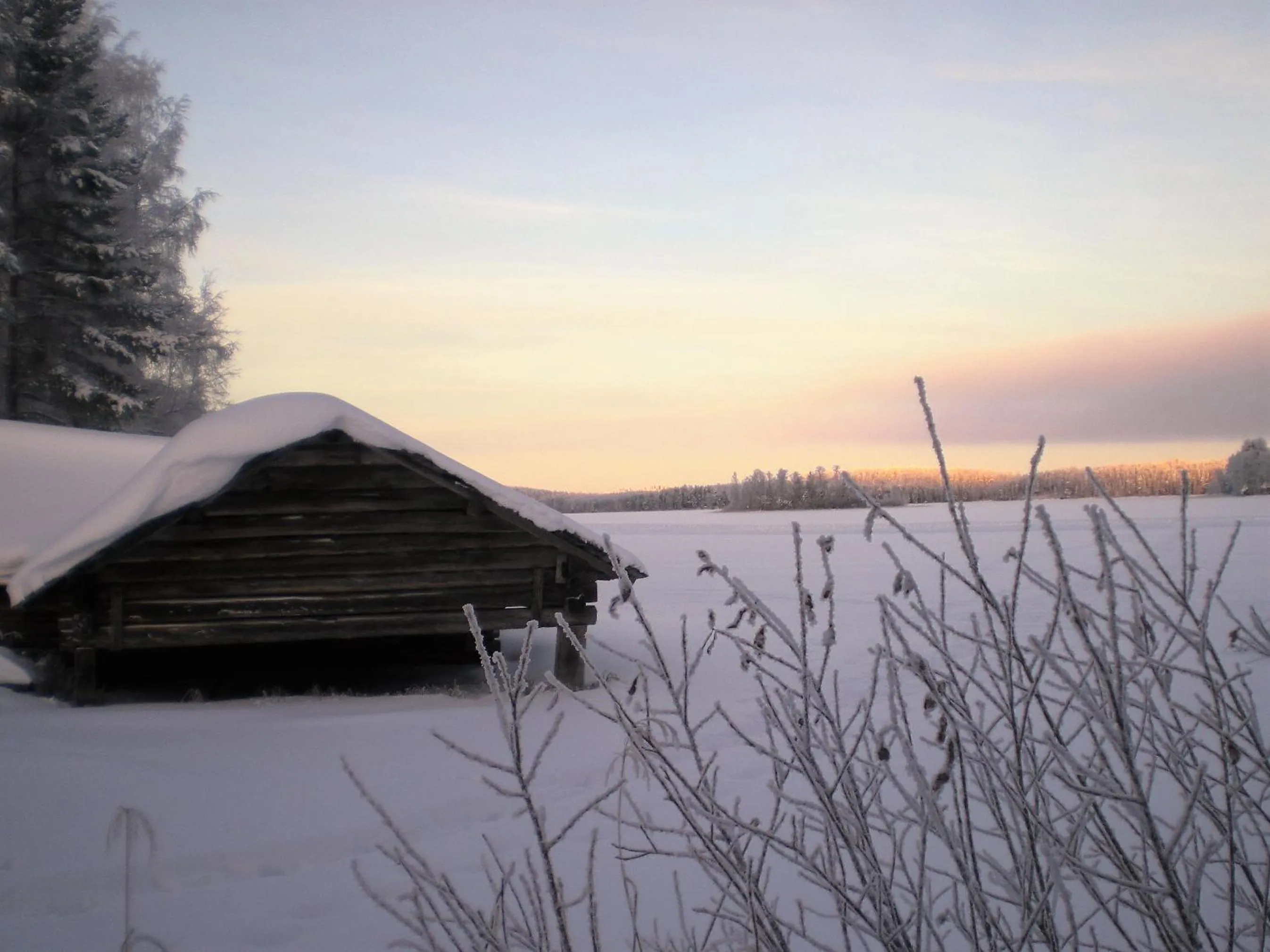 Neighbourhood in Lomakoivulehto