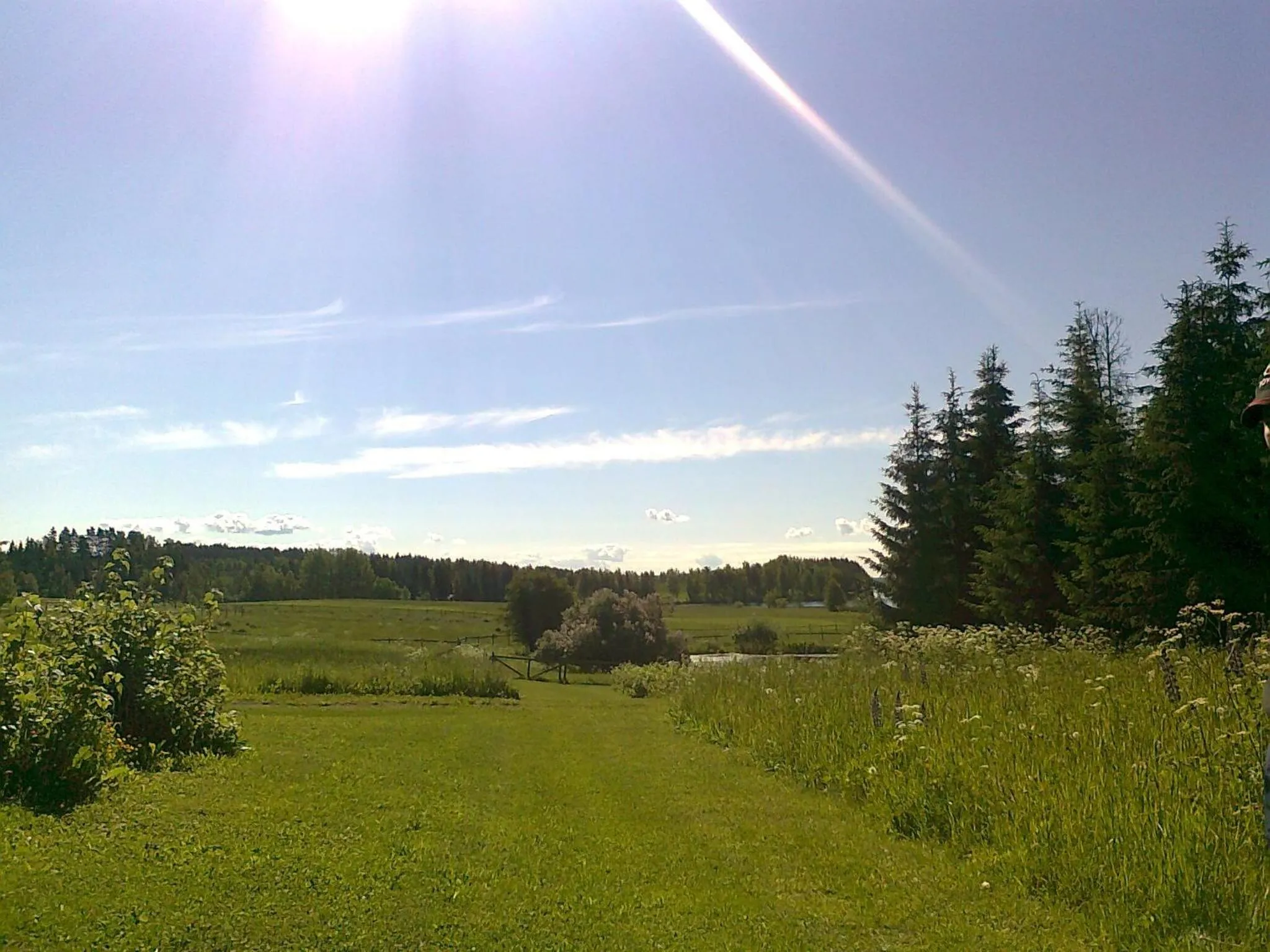 Neighbourhood in Lomakoivulehto