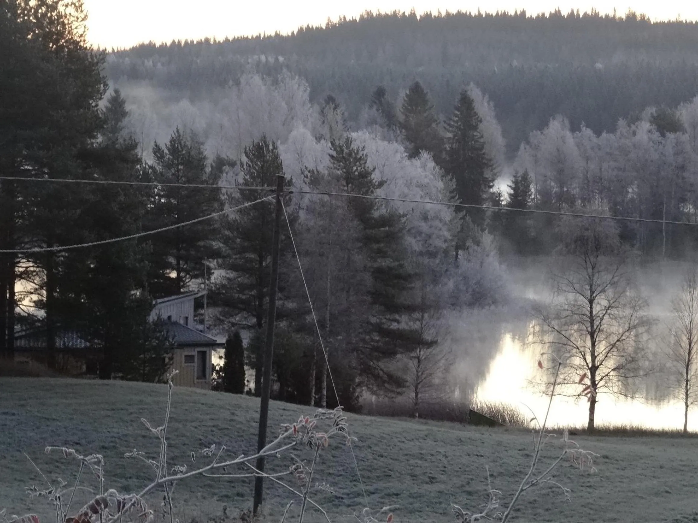 Natural landscape in Lomakoivulehto