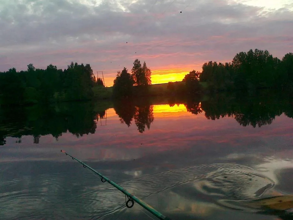 Spring in Lomakoivulehto
