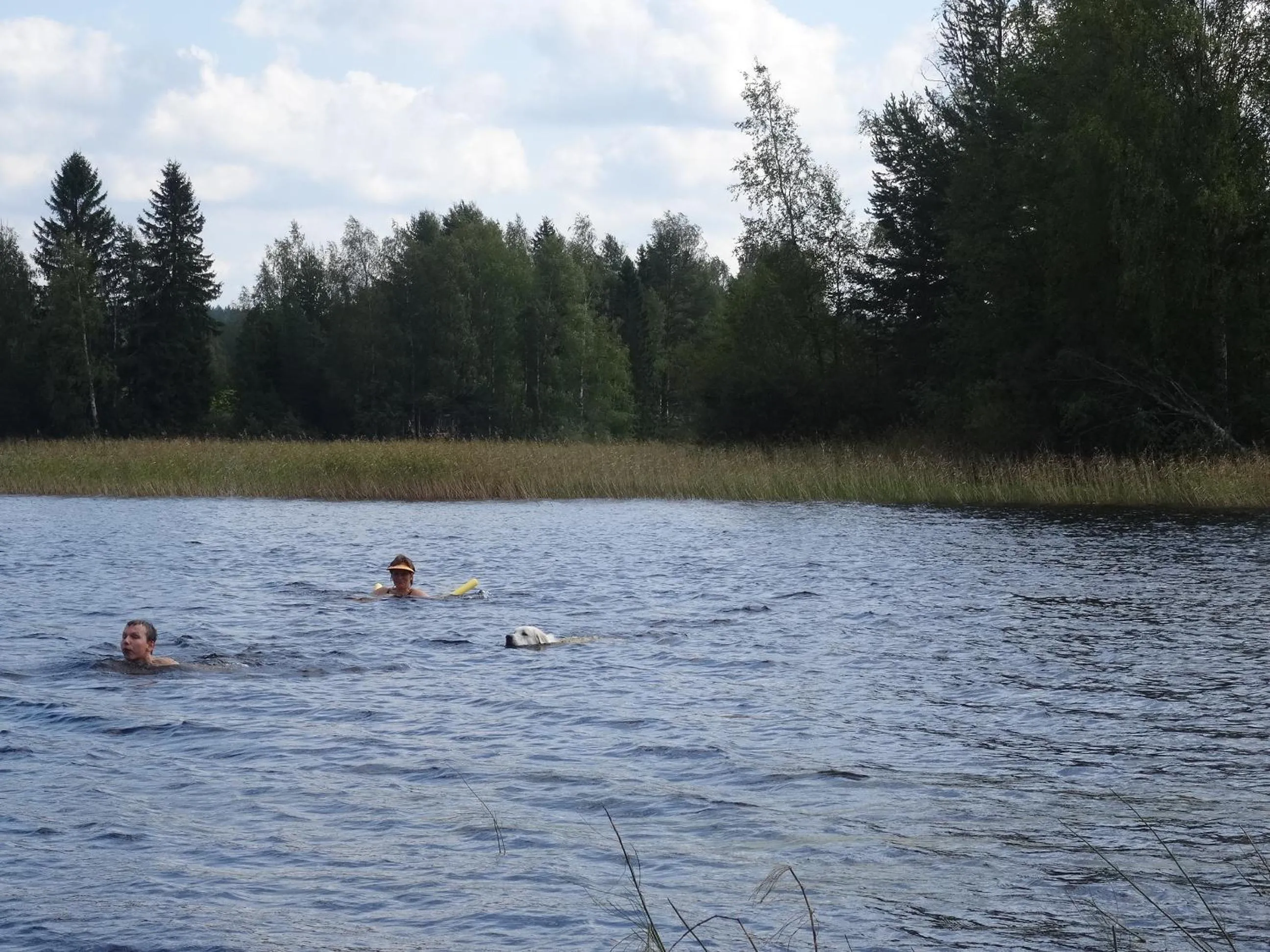 Lake view in Lomakoivulehto