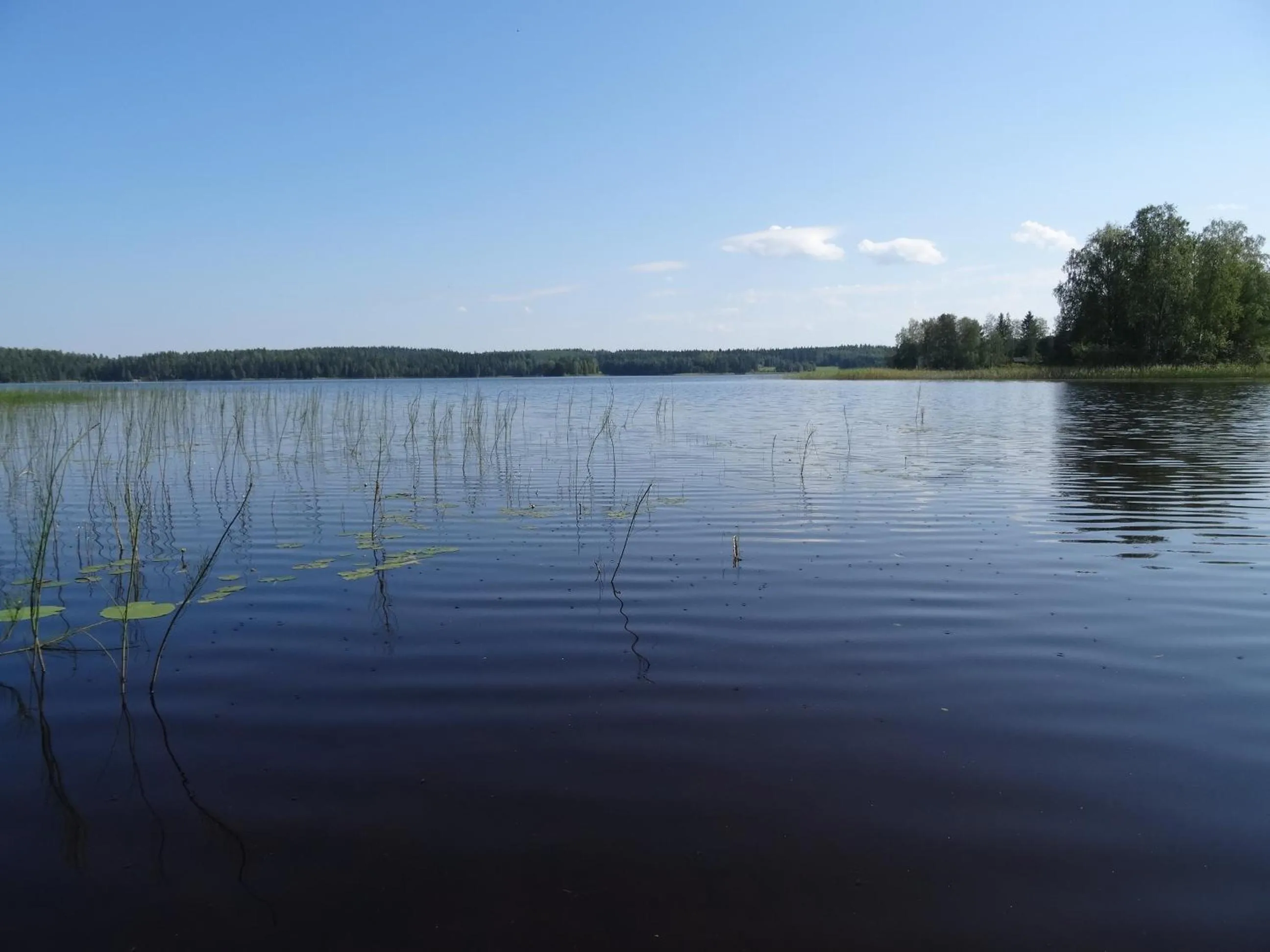 Summer in Lomakoivulehto