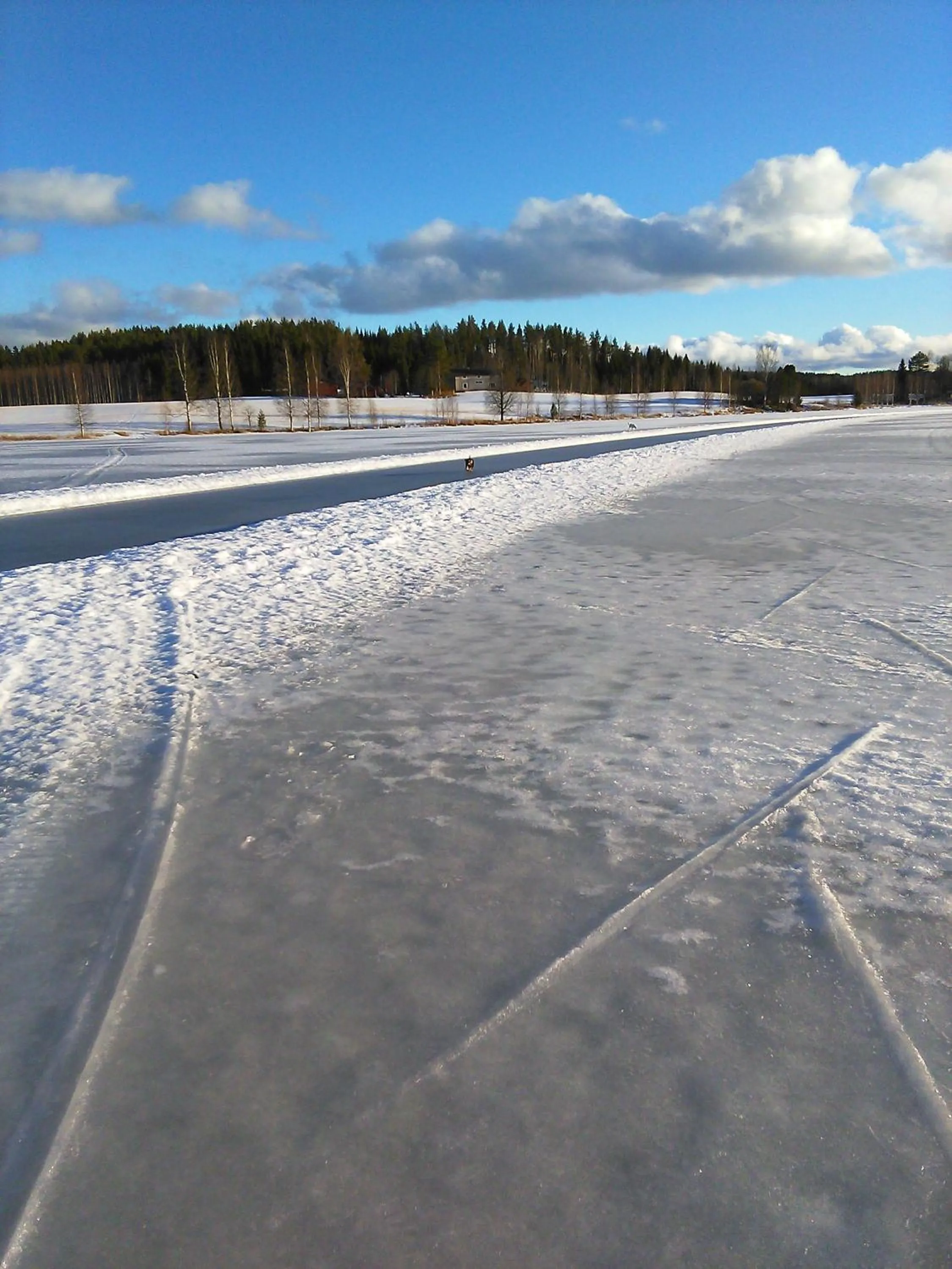 Winter in Lomakoivulehto