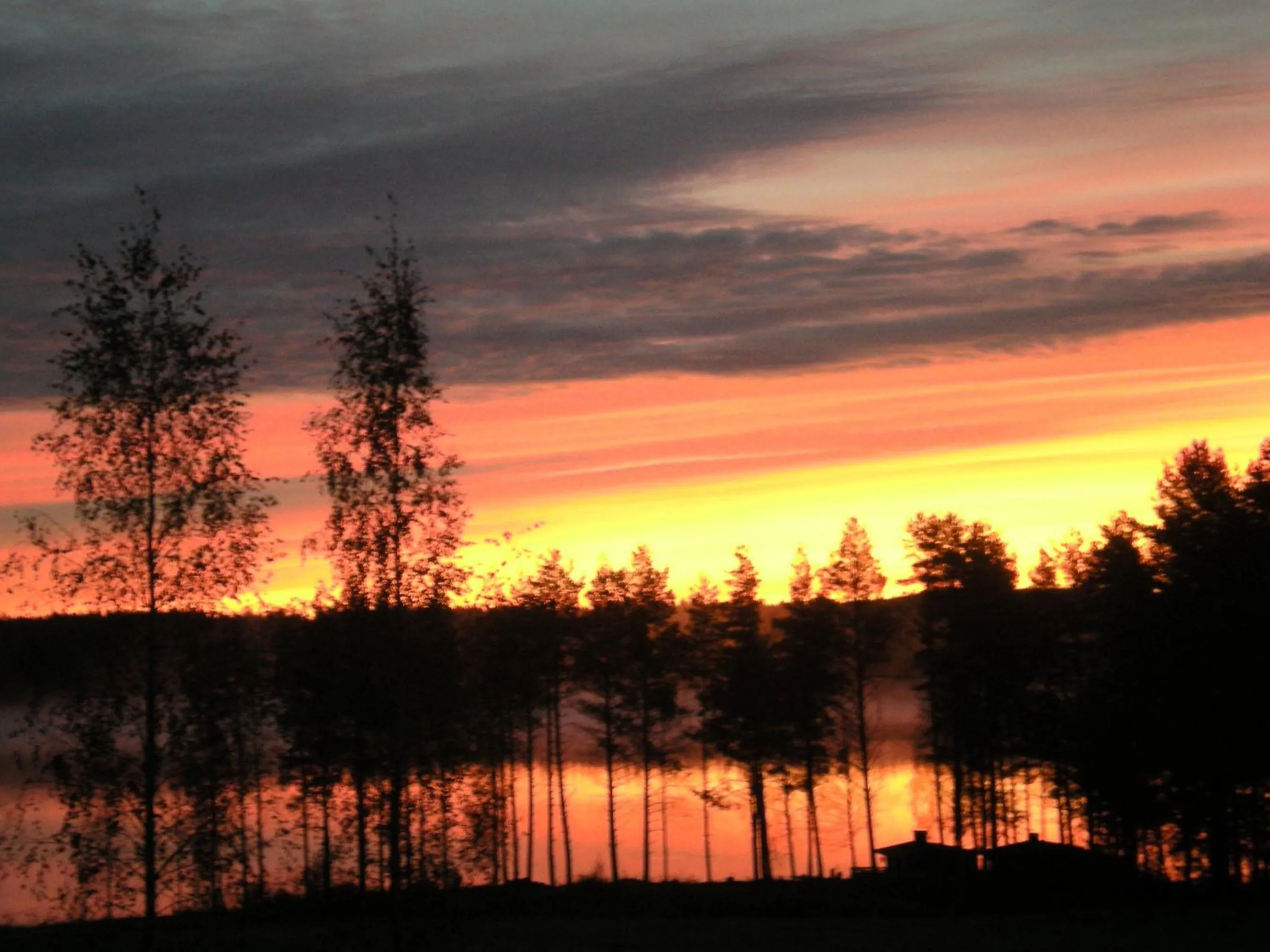 Natural landscape in Lomakoivulehto
