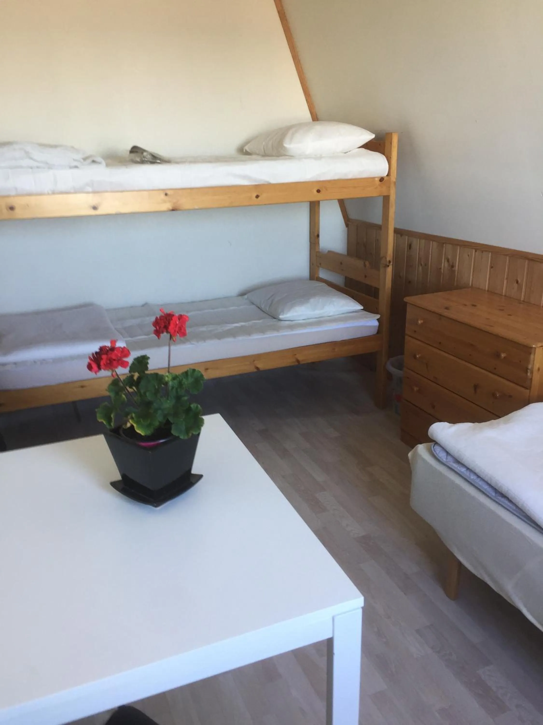 bunk bed, Bed in Kungshamns Vandrarhem