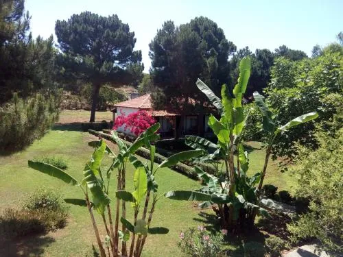 Hotel Dougas