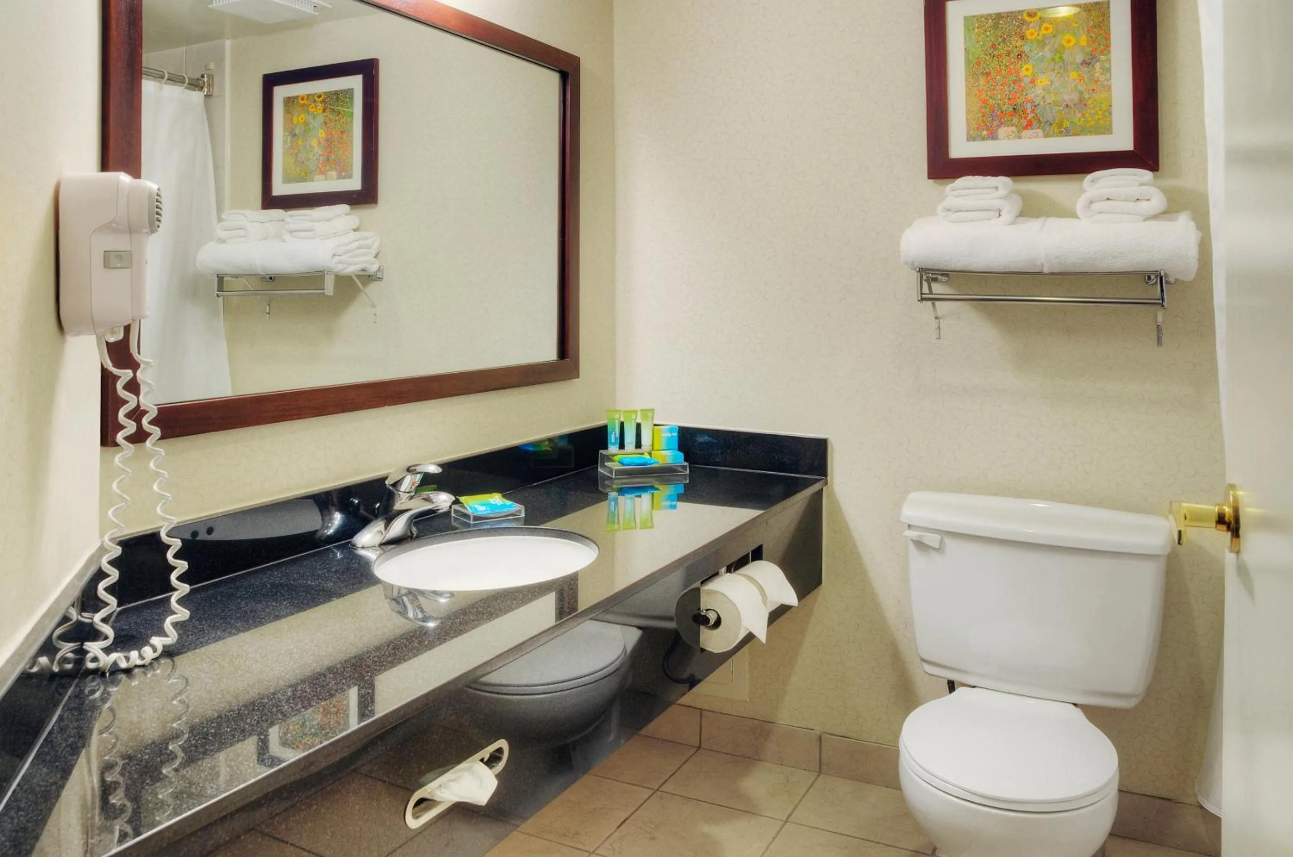 Bathroom in Quality Inn