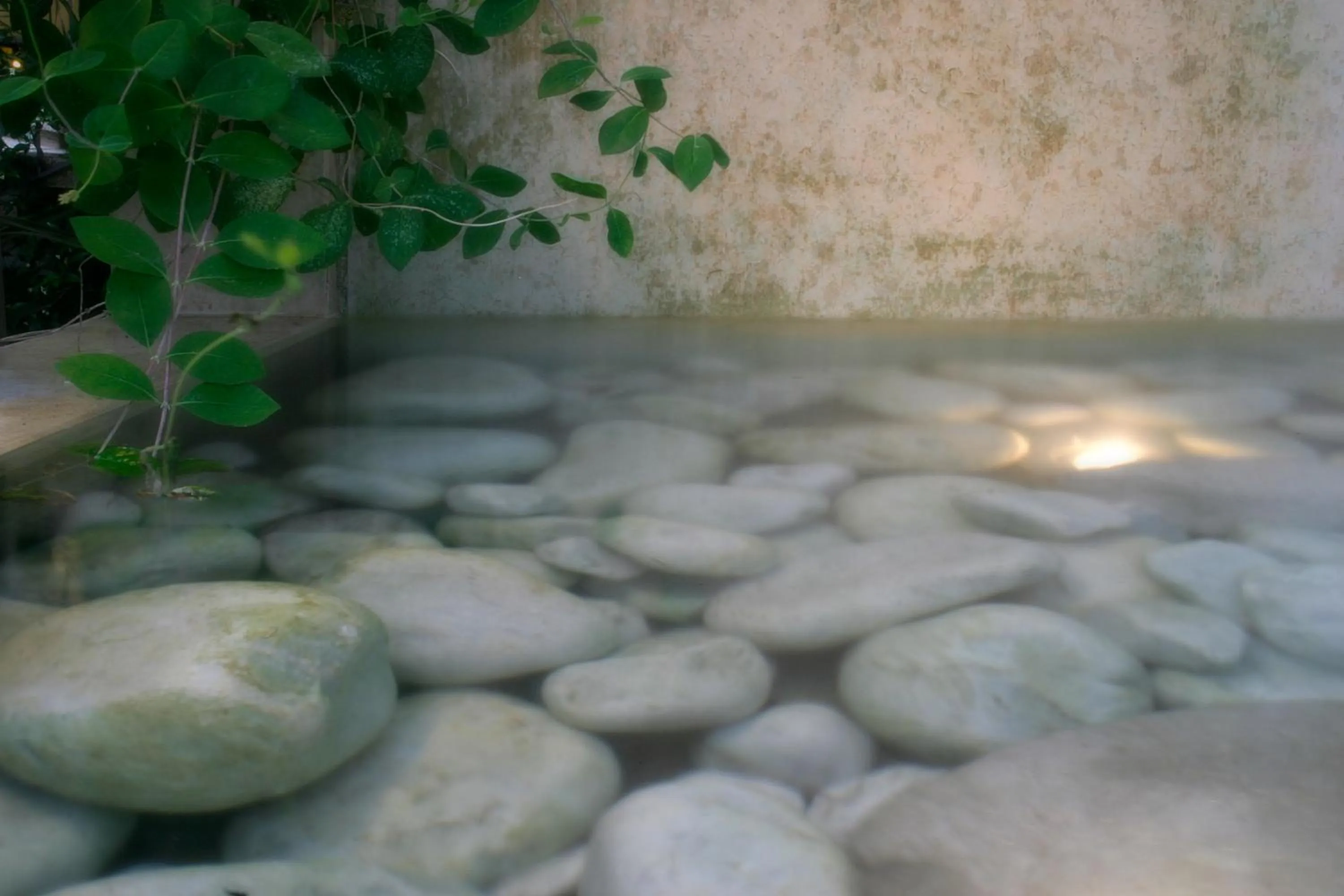 Other in Hotel Leonardo Da Vinci Wellness SPA